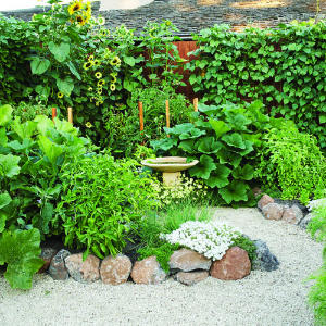 Ideas for your garden layout