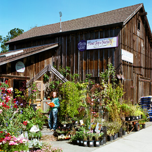 Alena Jean Flower Shop and Nursery