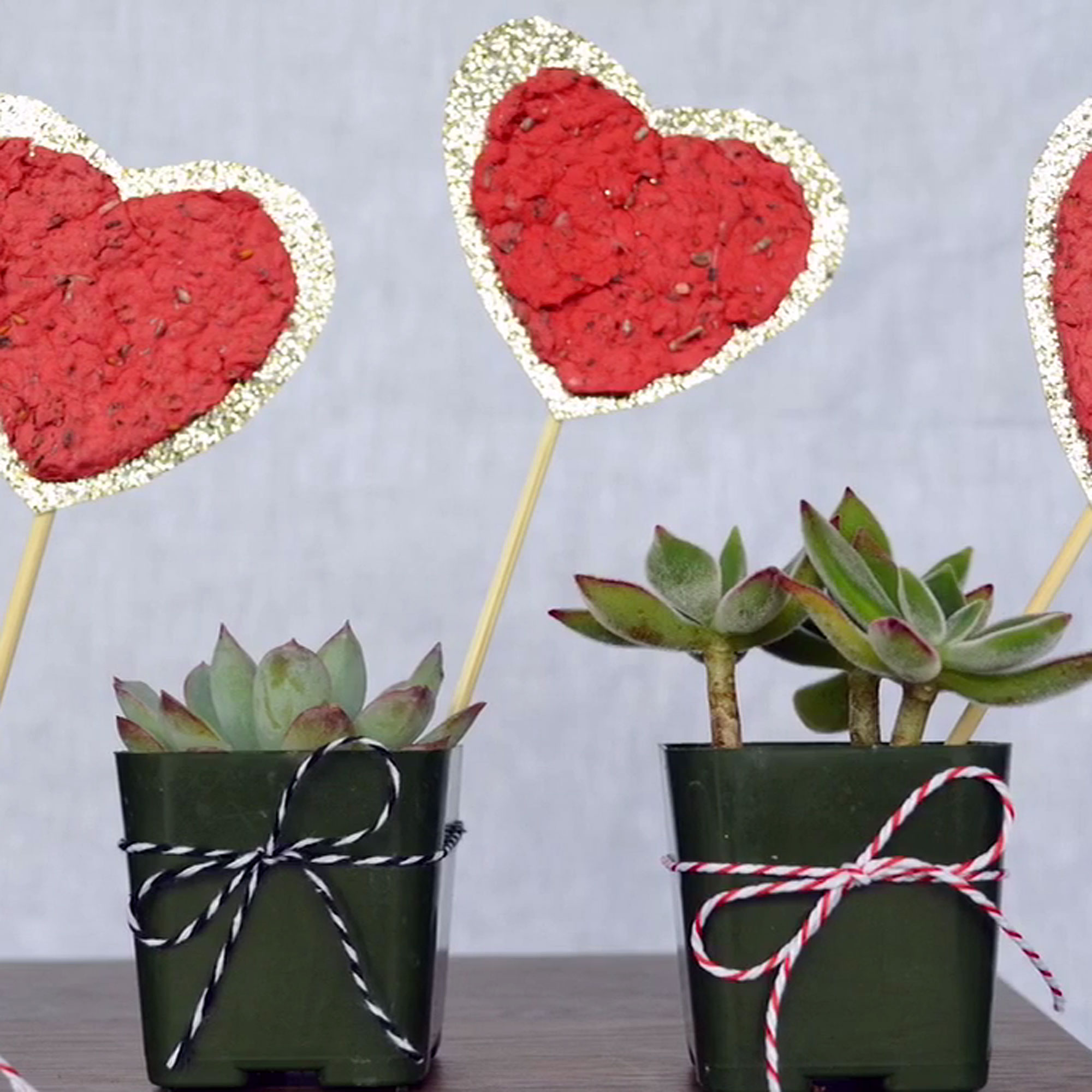 How to Make Seed Paper Hearts