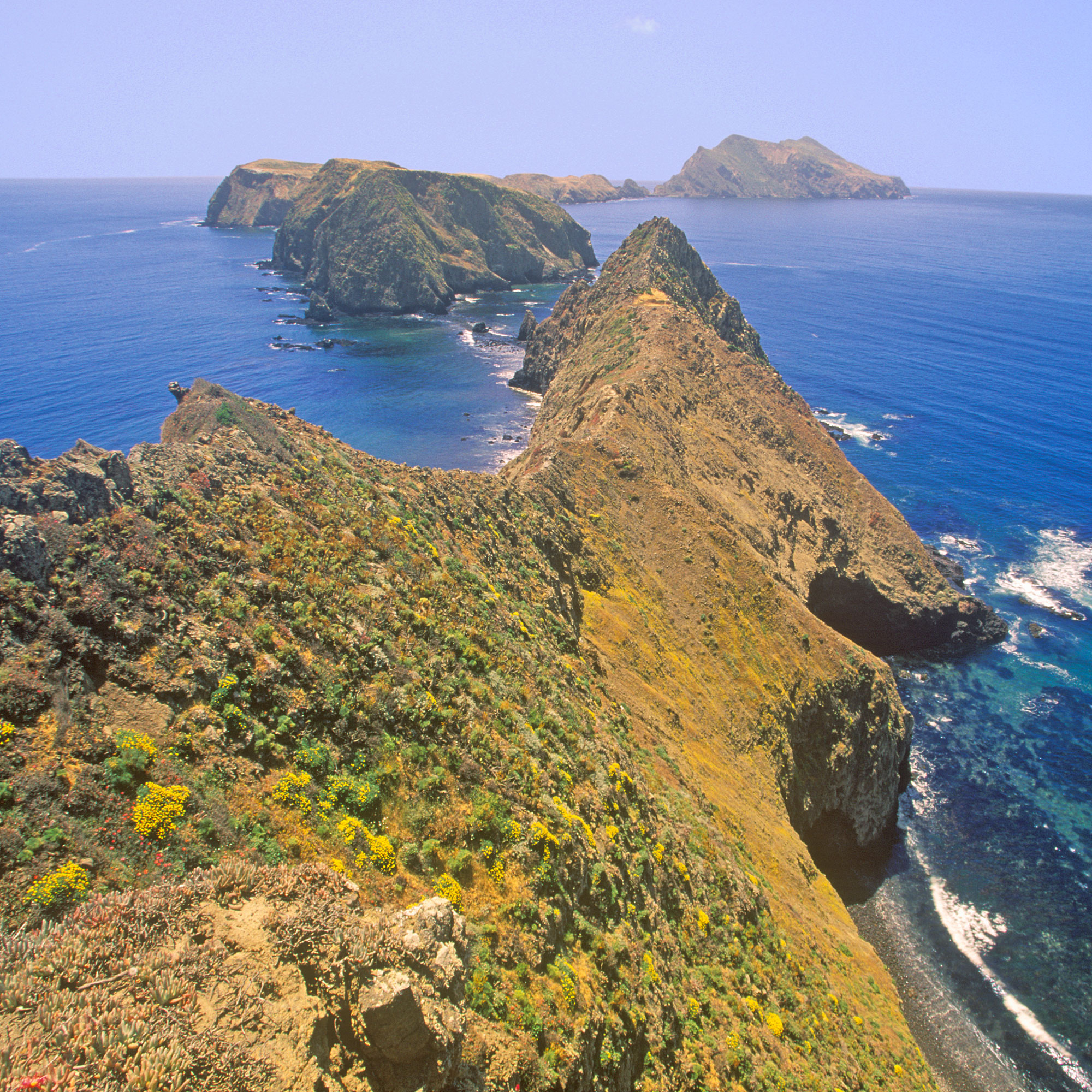 Channel Islands National Park Guide