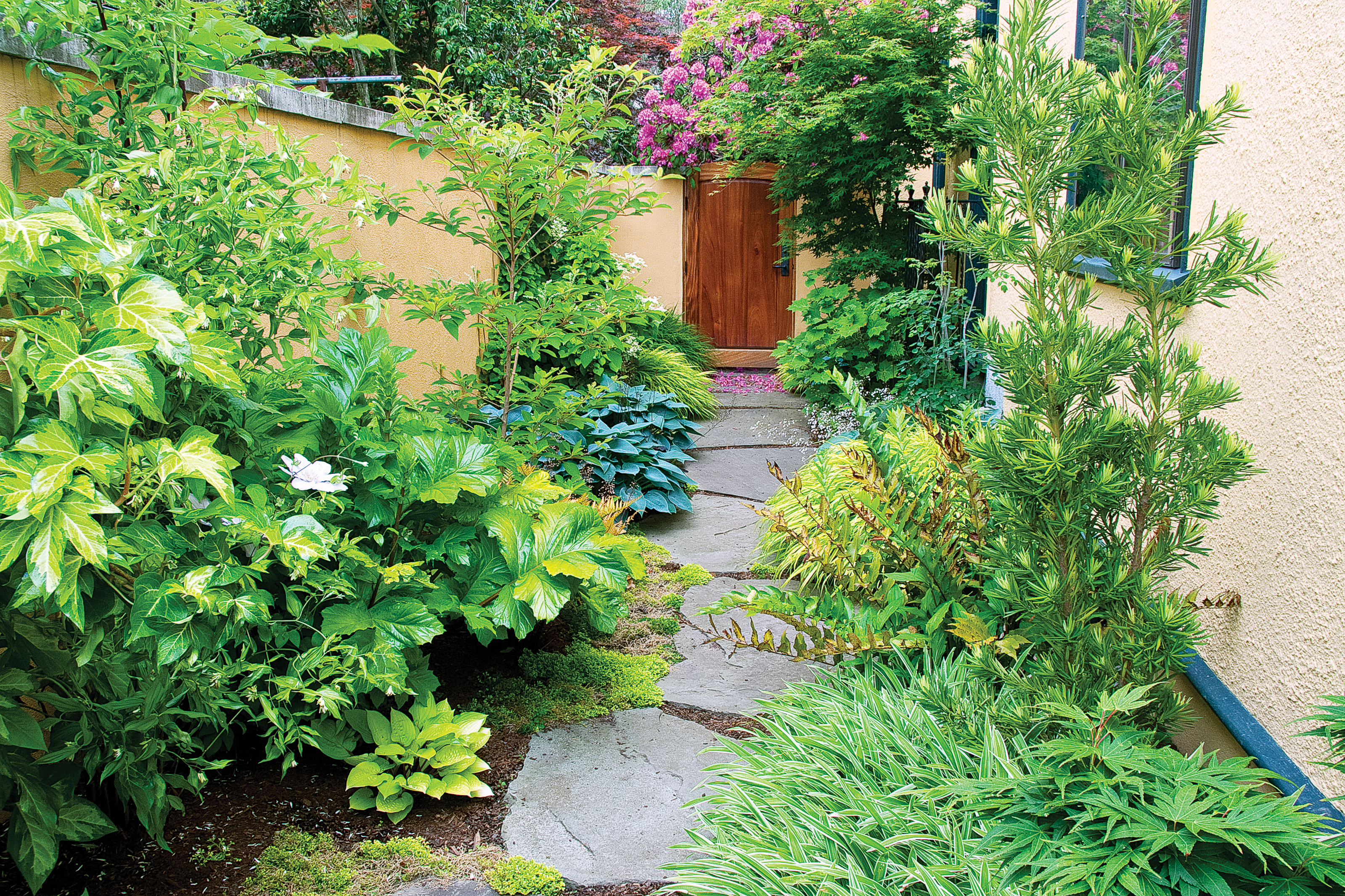 12 Ideas for Side Yards