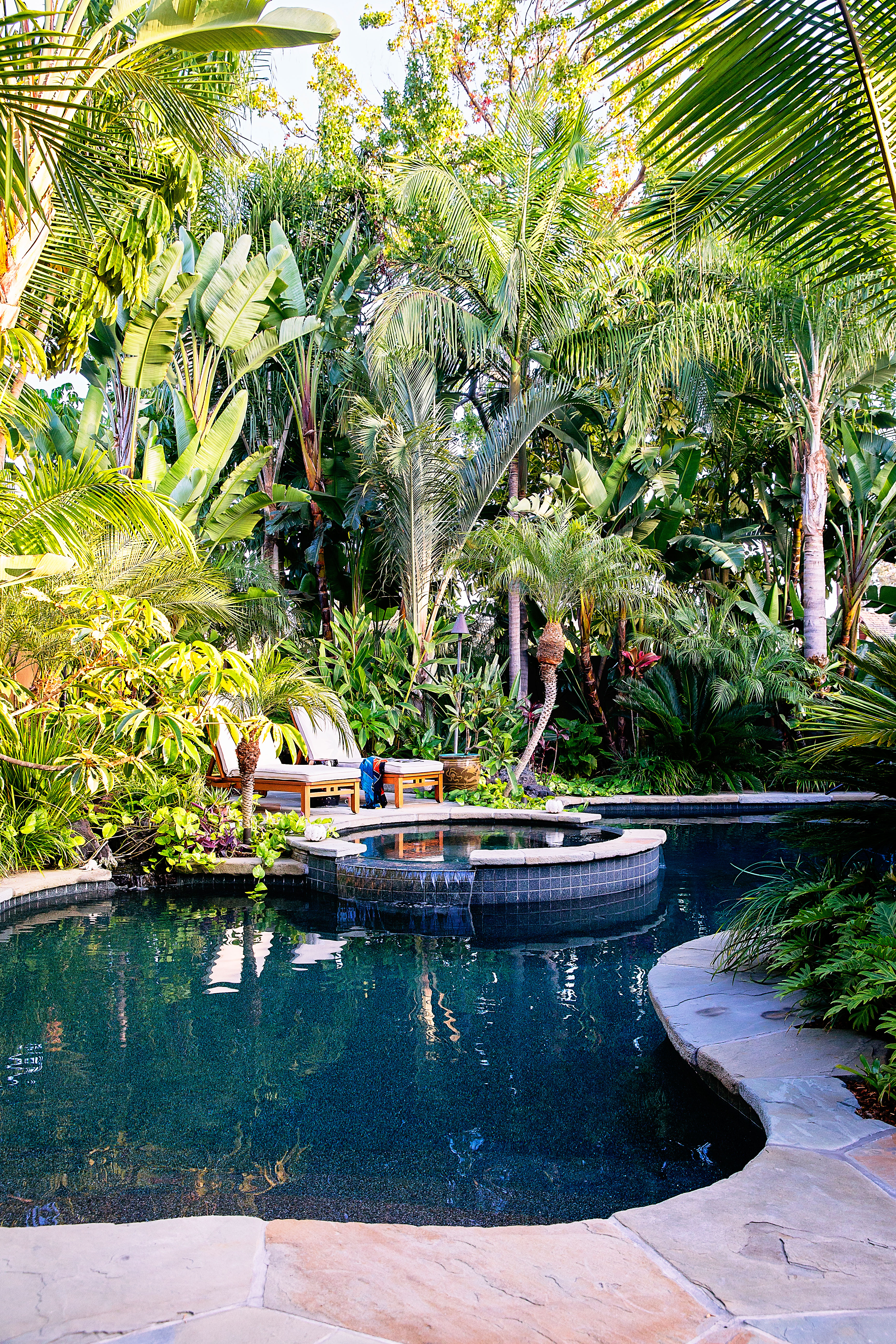 How to Design a Lush Tropical Retreat