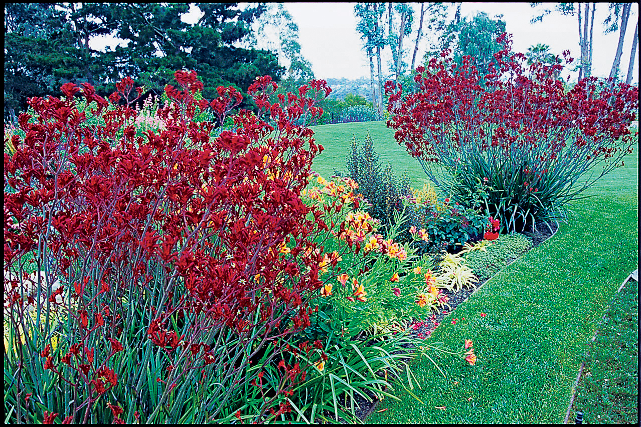 20 Garden Border Designs - Sunset Magazine