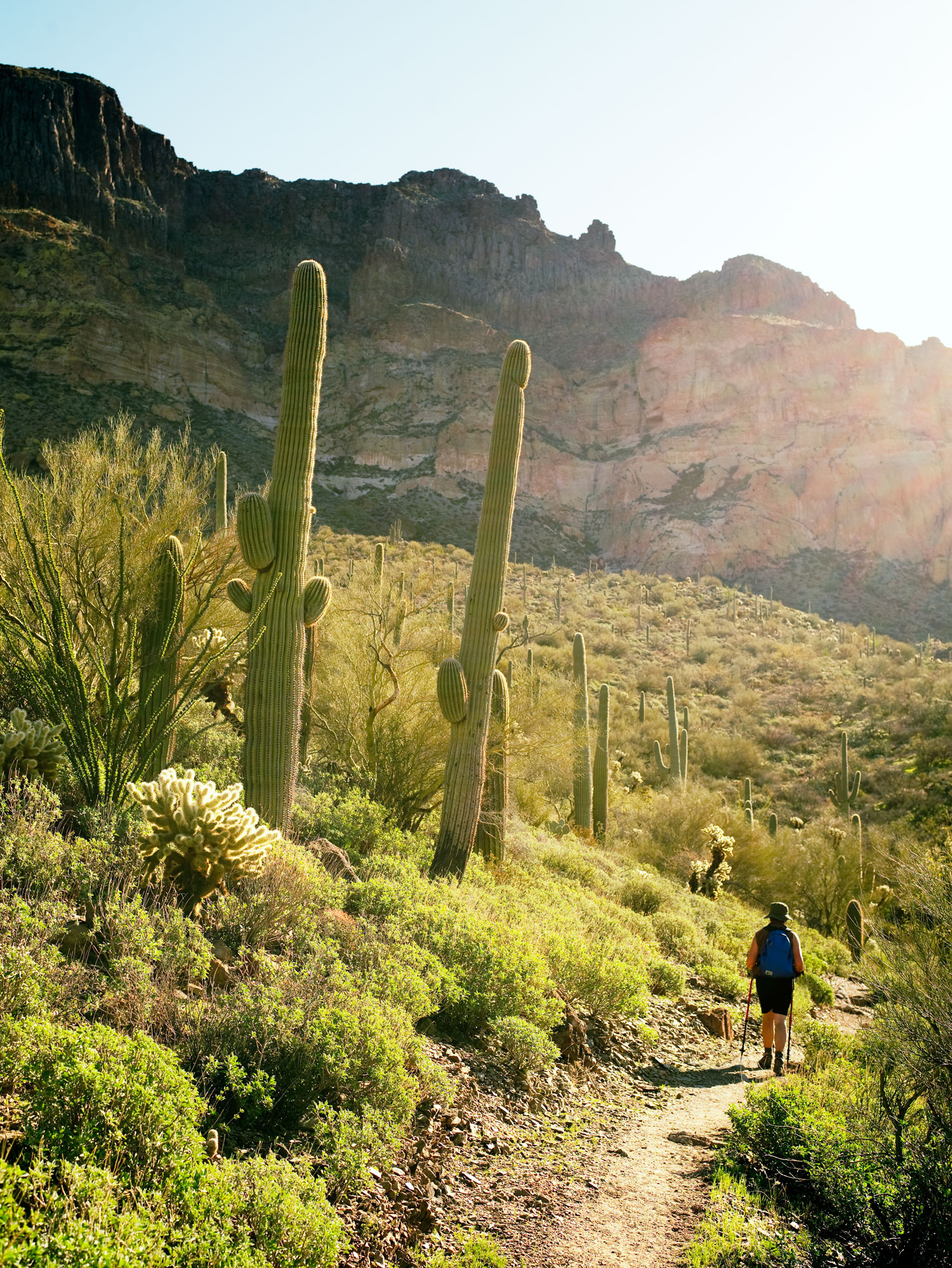 Desert Getaway: the Arizona Trail