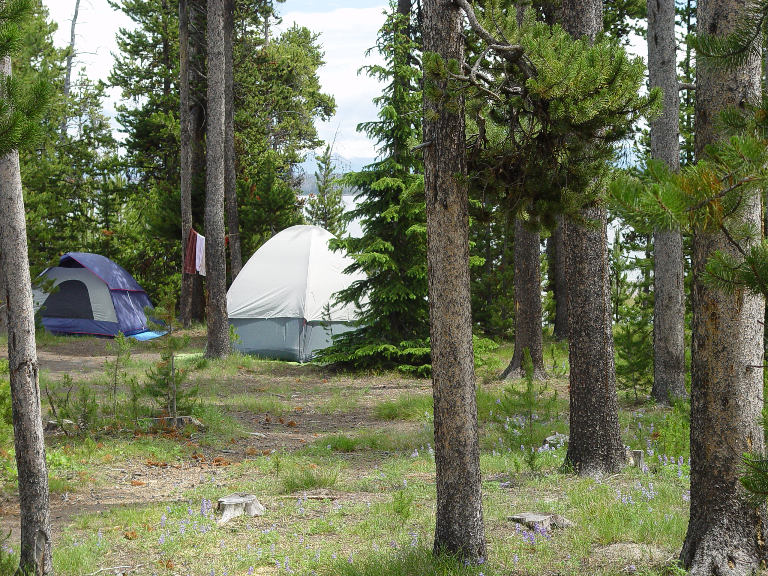 Lodging, dining, and camping
