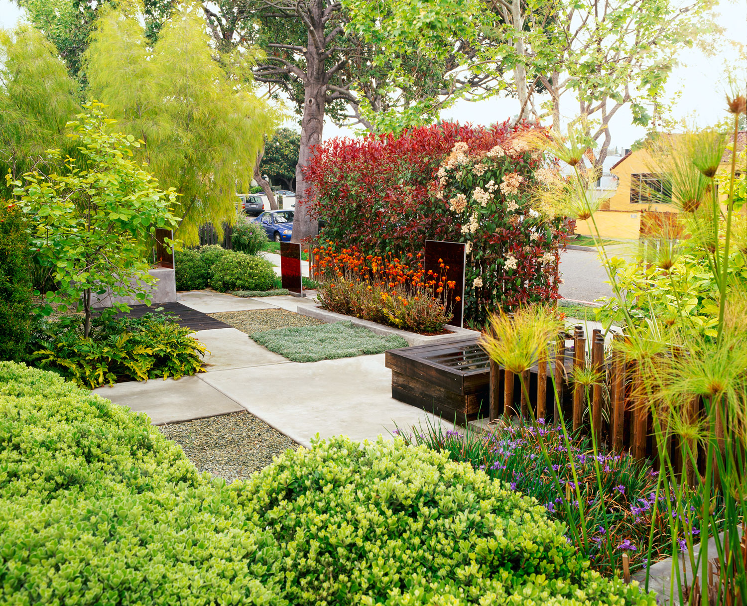 5 Steps to a Beautiful Front Yard