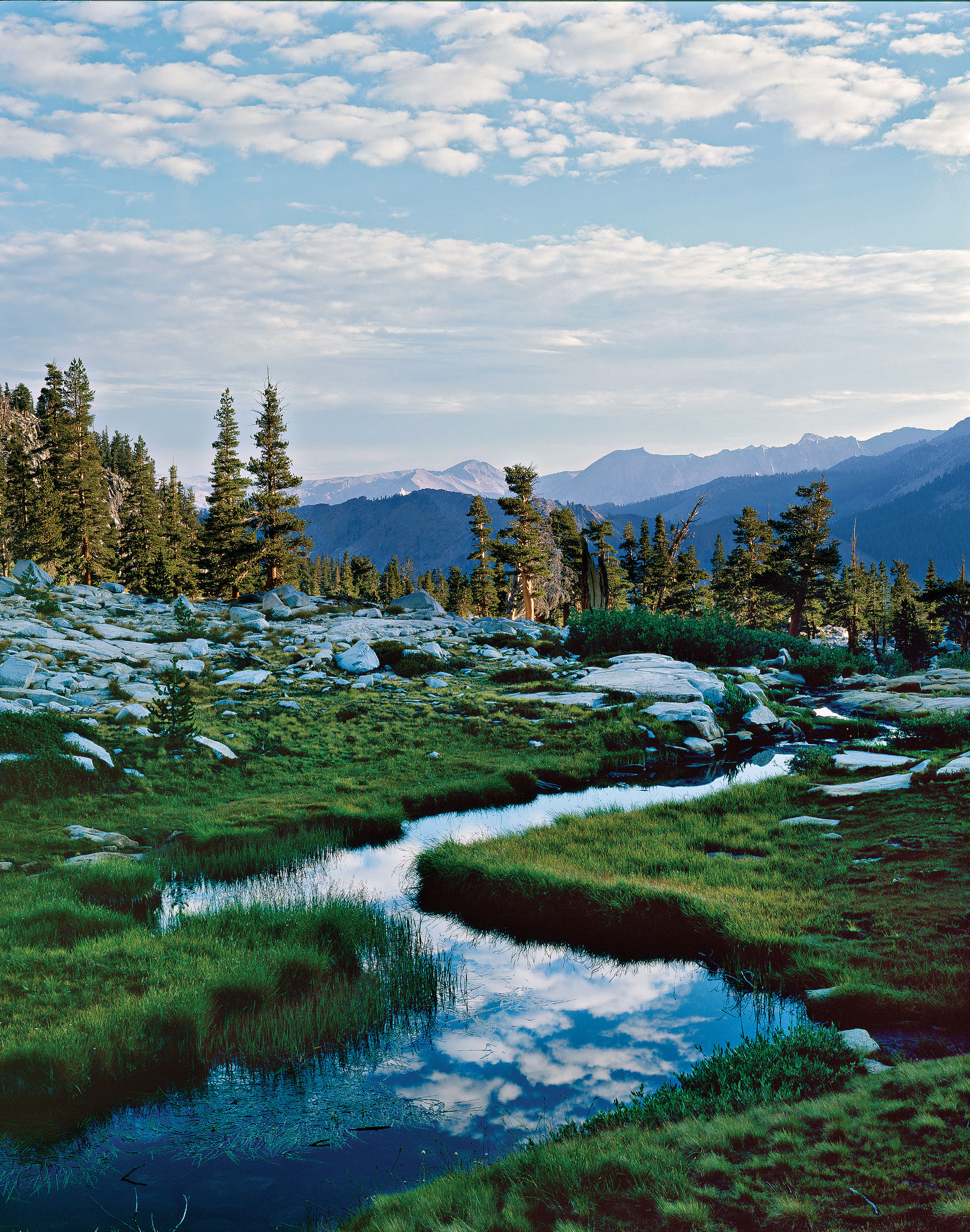 Sequoia and Kings Canyon National Parks Guide