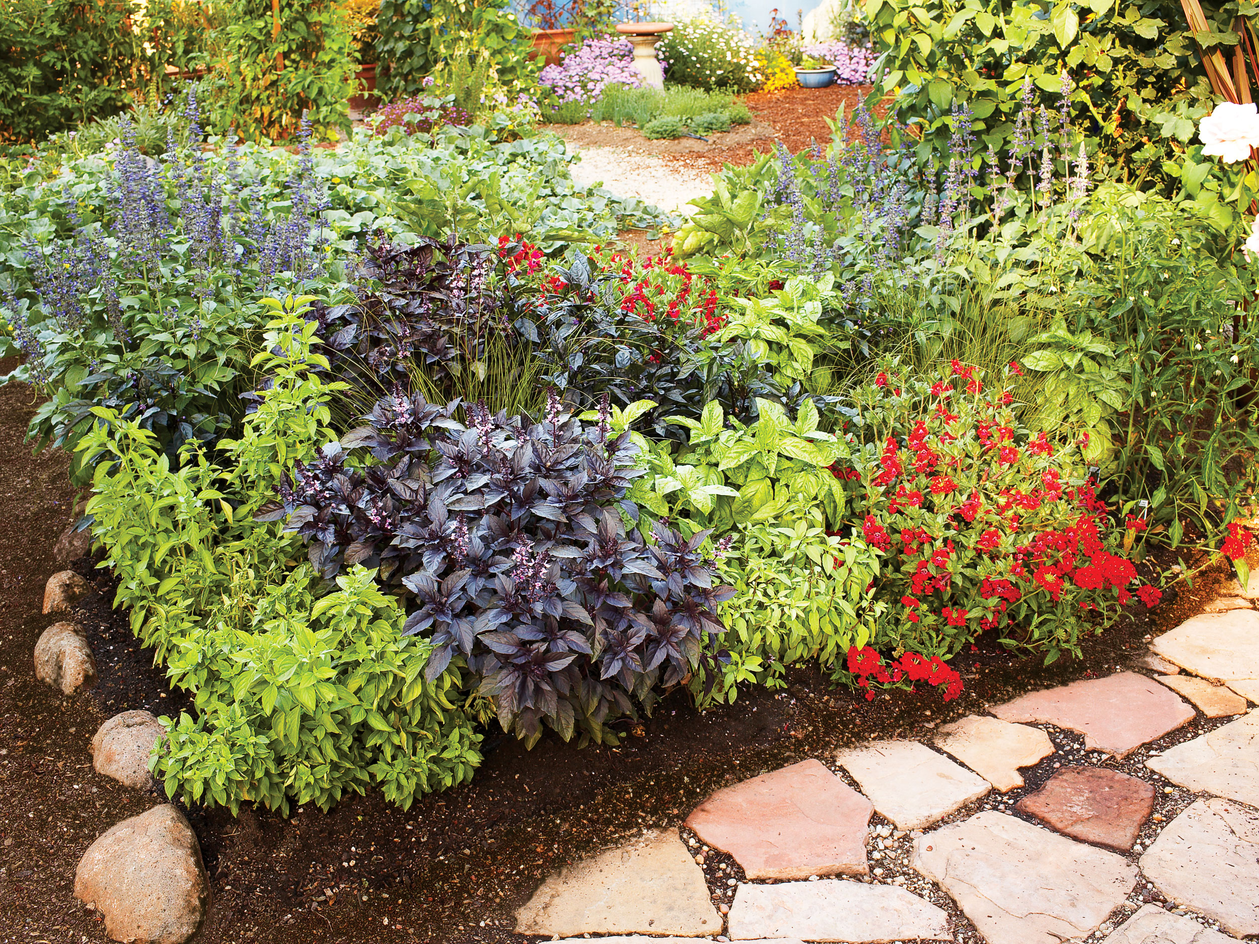 3 Colorful, EasyCare Spring Borders Sunset Magazine
