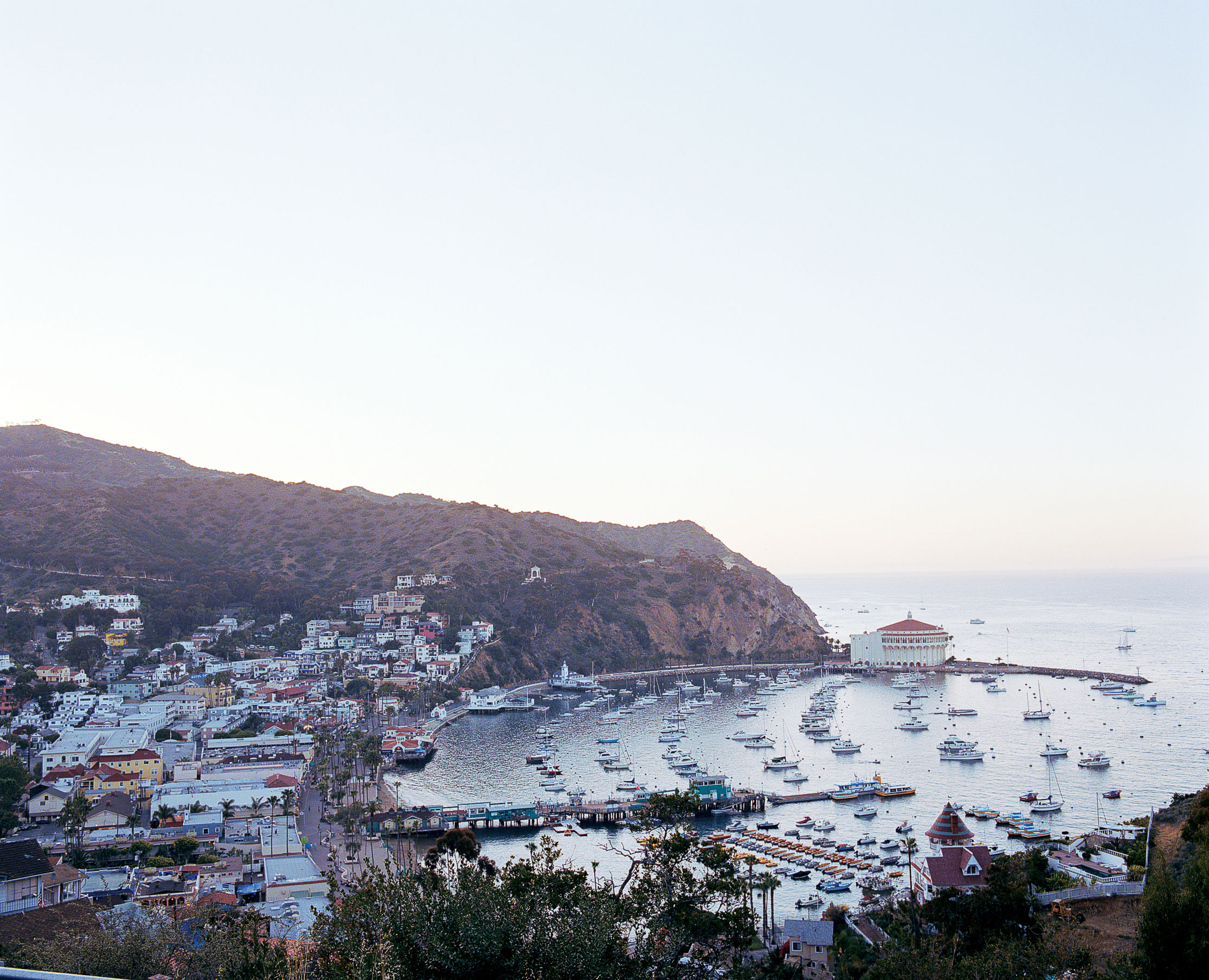 Island Romance, Catalina-Style