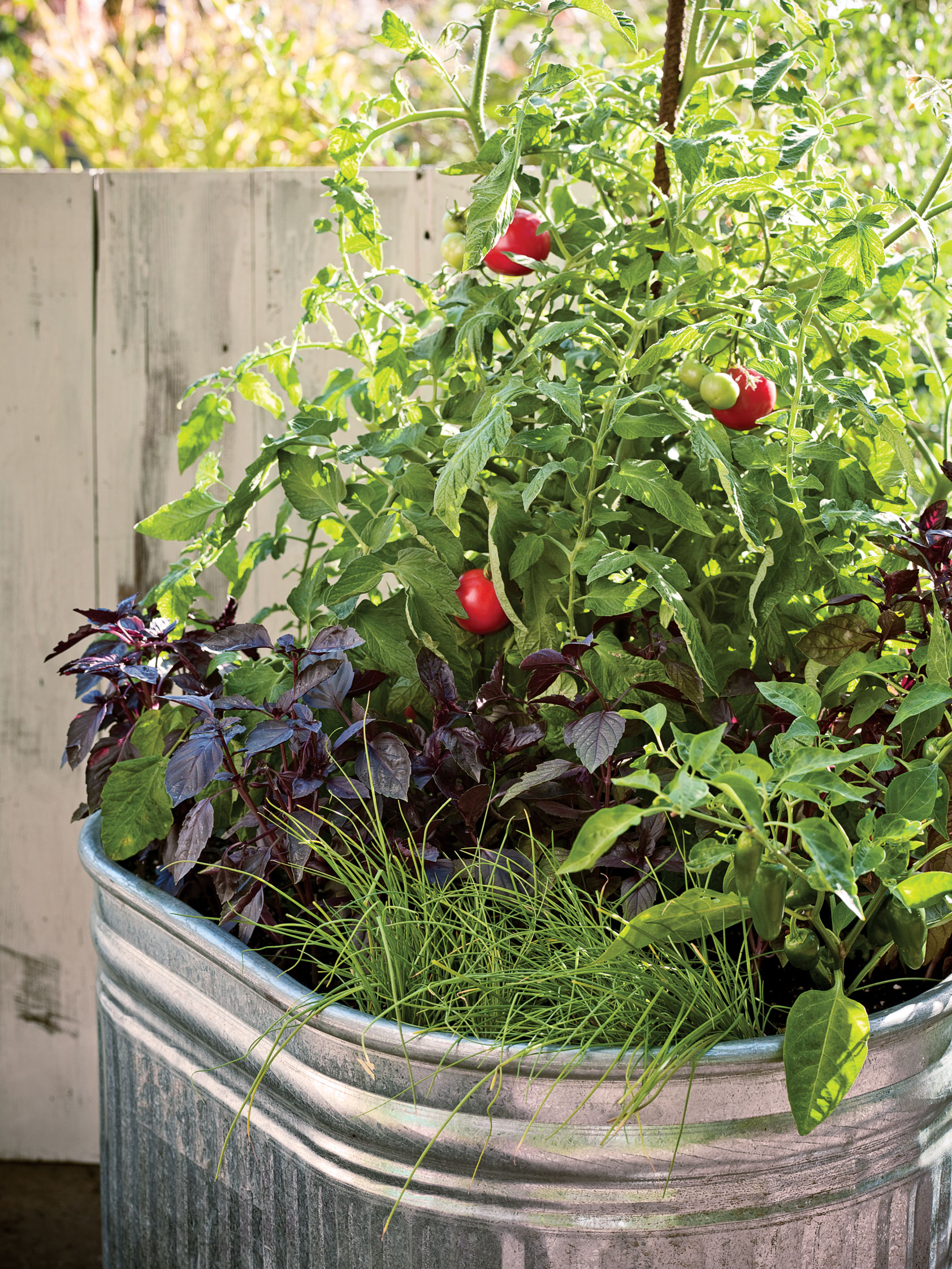 Plant a One-Pot Vegetable Garden