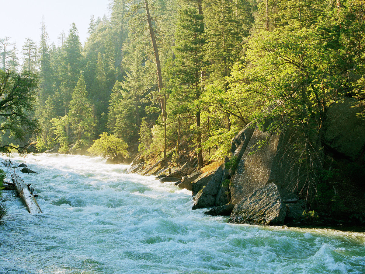 Sequoia and Kings Canyon Trip Itineraries