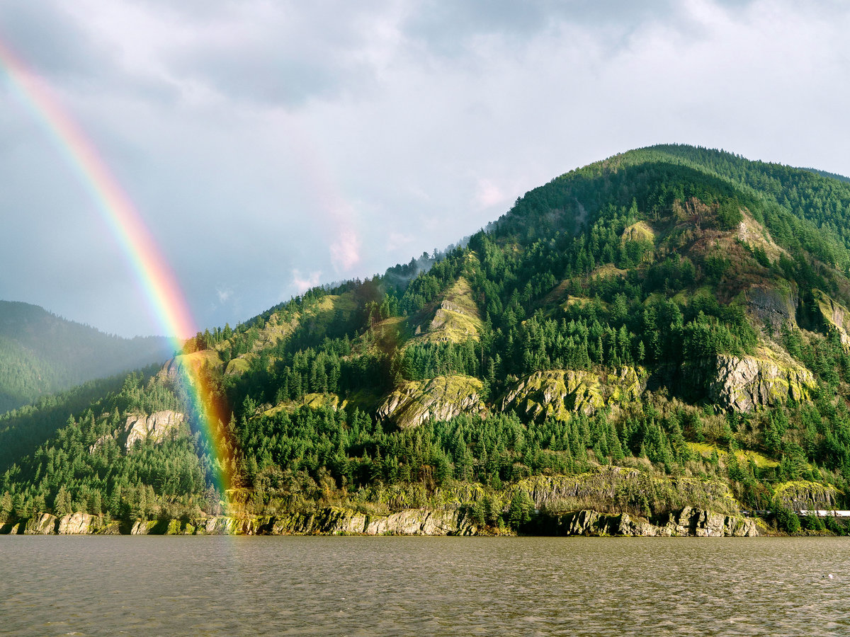 Columbia River Rainbow