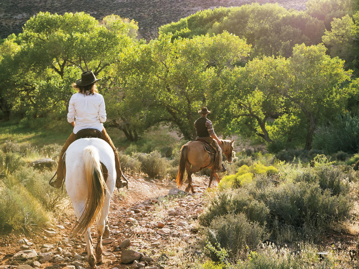 Zion Horseback Riding