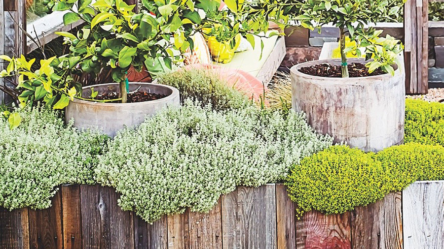 9 Surprising Twists on Planter Boxes