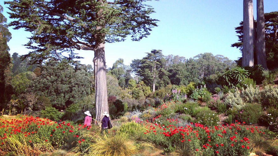 15 Beautiful Botanical Gardens Sunset Magazine Sunset Magazine