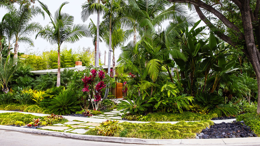 How to Design a Lush Tropical Retreat - Sunset Magazine 