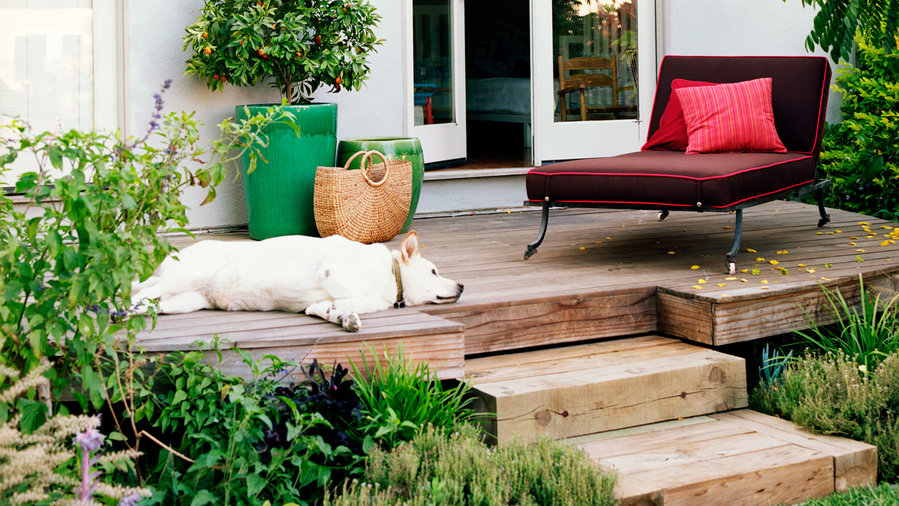 1 House, 5 Great Outdoor Rooms