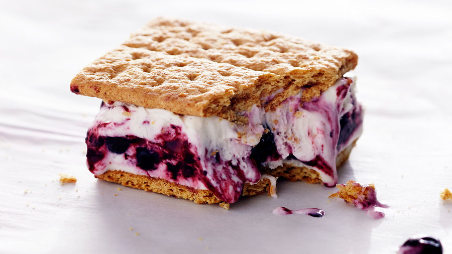 Blueberry Cheesecake Frozen Yogurt Sandwiches
