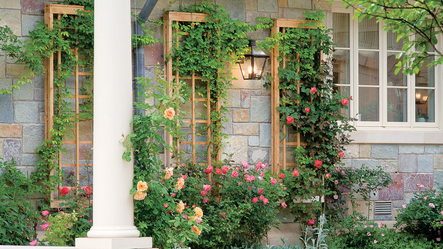 How to Build an Elegant Wall-Attached Trellis