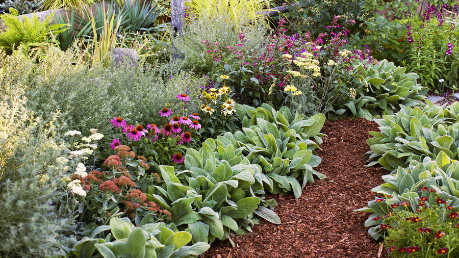 4 Easy-Care Flower Beds