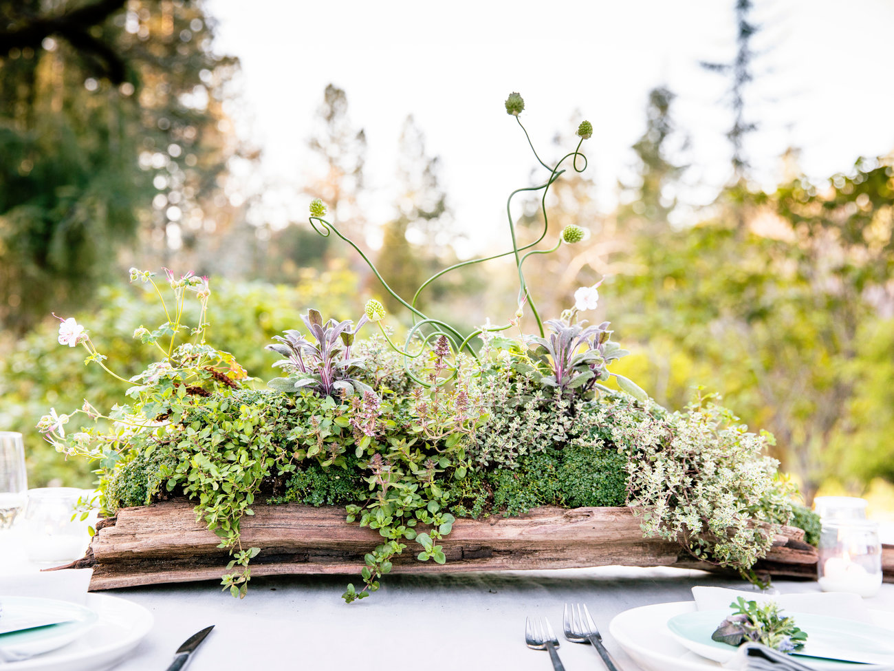 How to Set the Mood for a Chic Garden Party