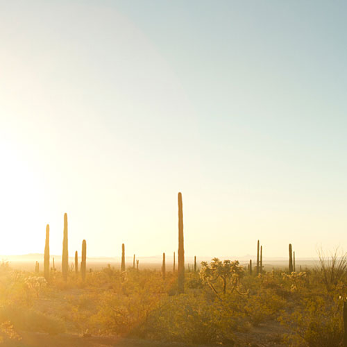 Driving Arizona’s deserts
