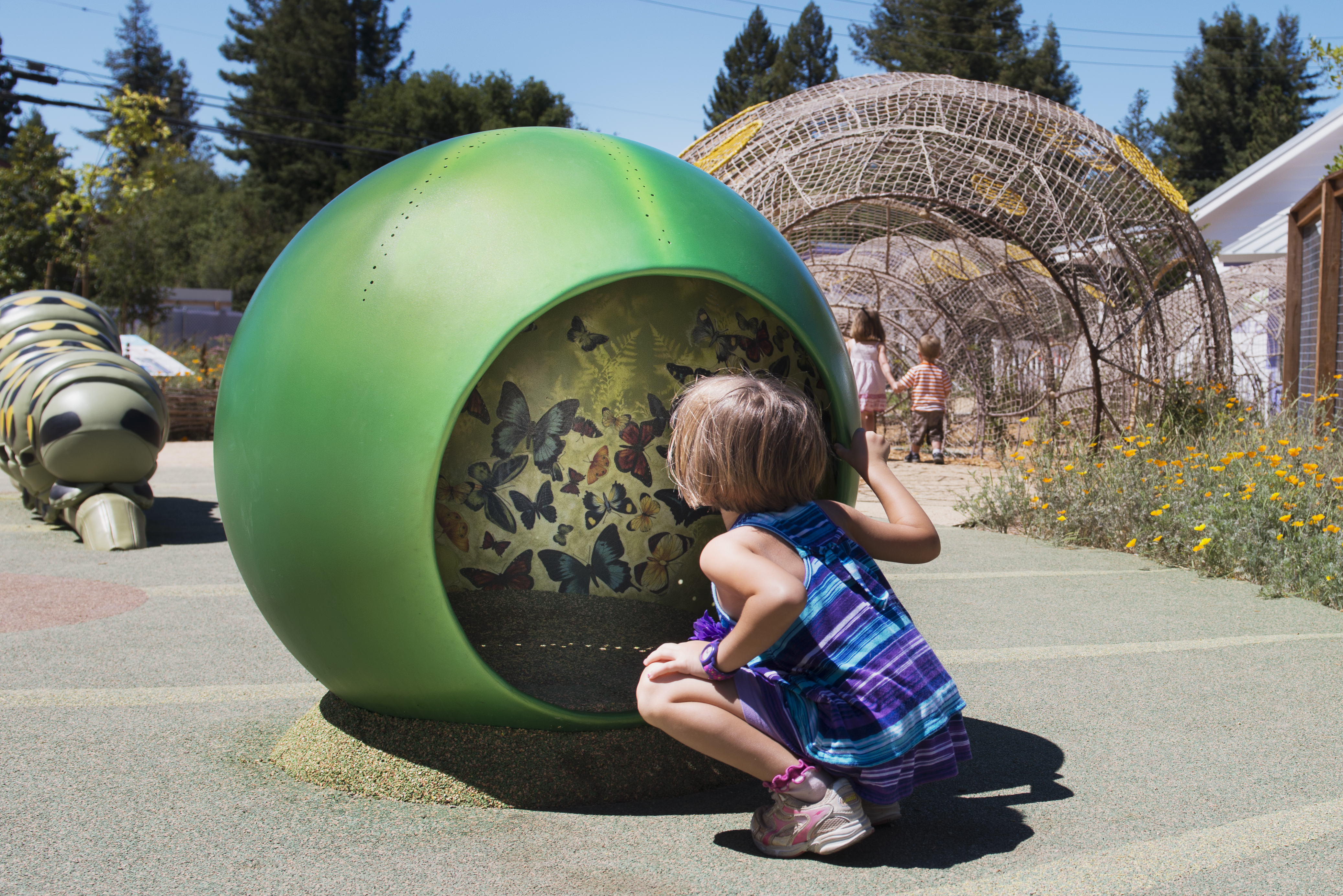 childrens-museum-of-sonoma-county