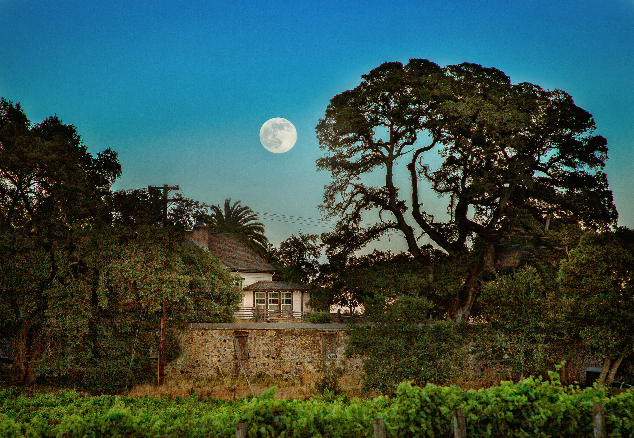 Top 10 Things to Do in Sonoma Valley