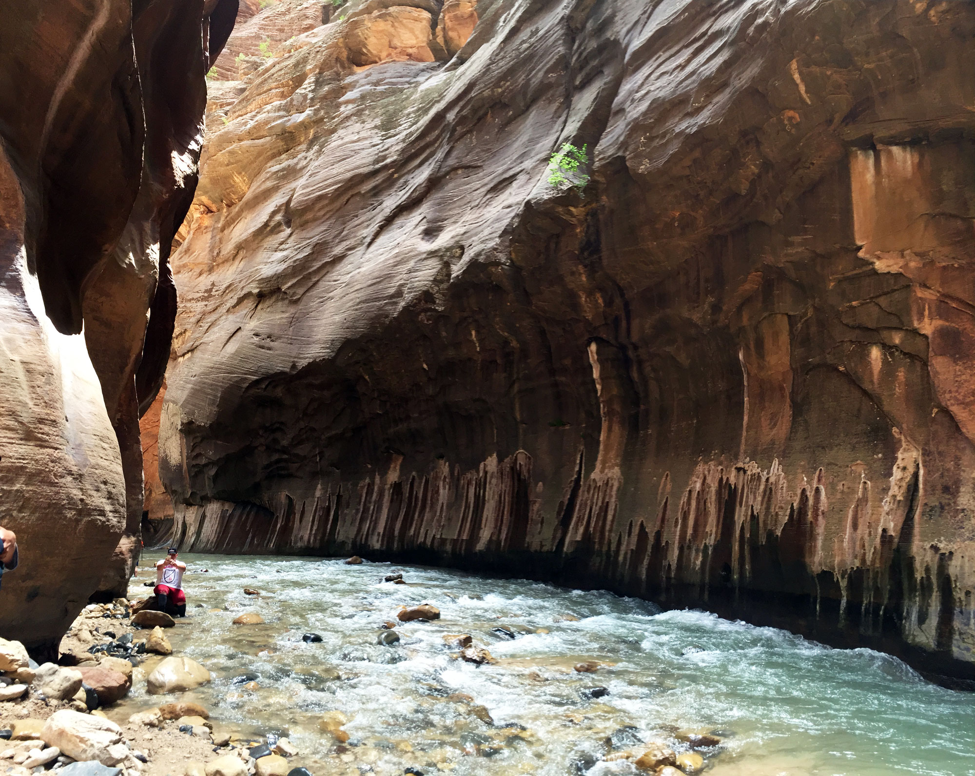 How to prepare for a hiking trip to Zion's Narrows Sunset Sunset