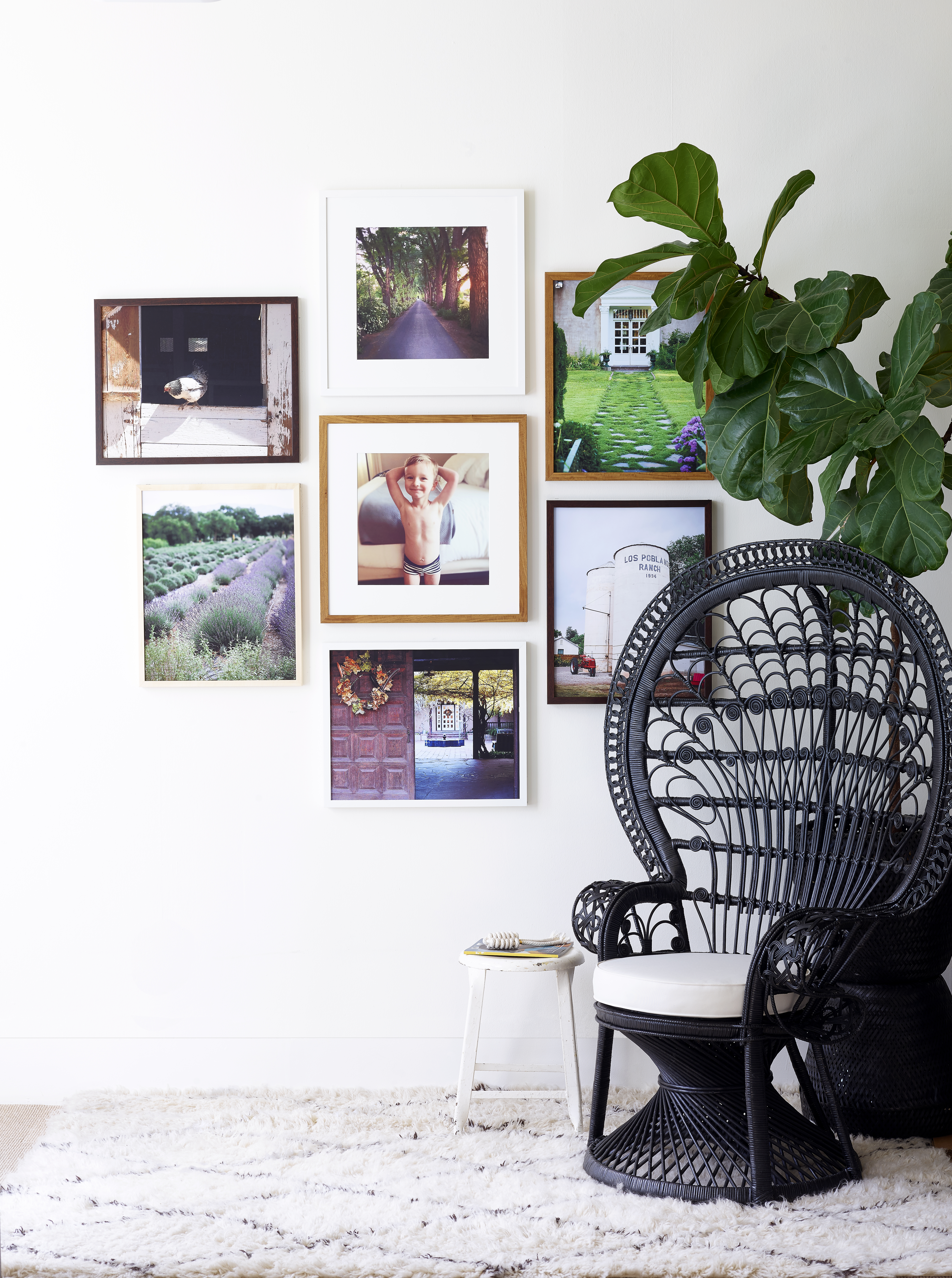 Win a trip and frame it!