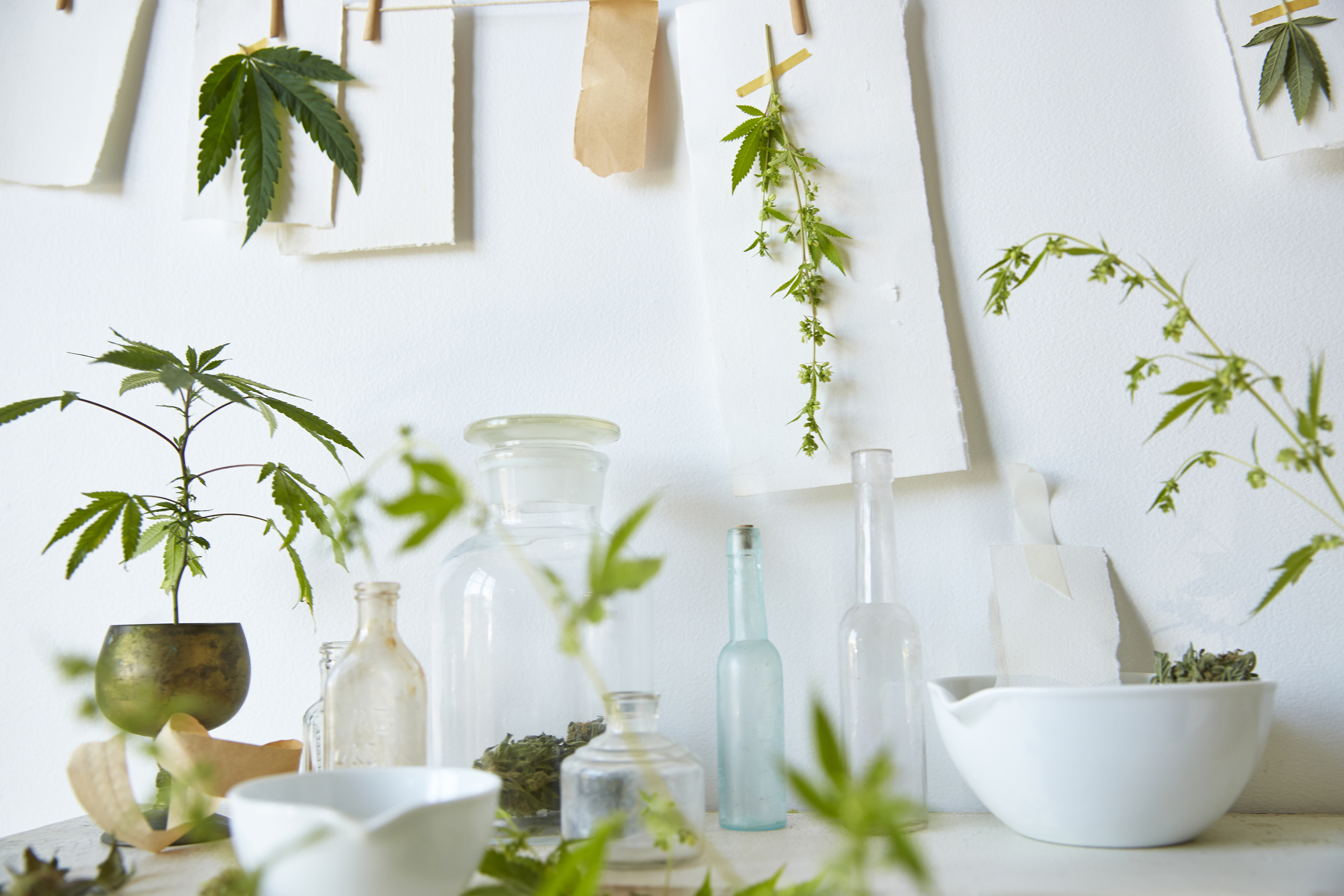 What to Know About Marijuana Legalization in California