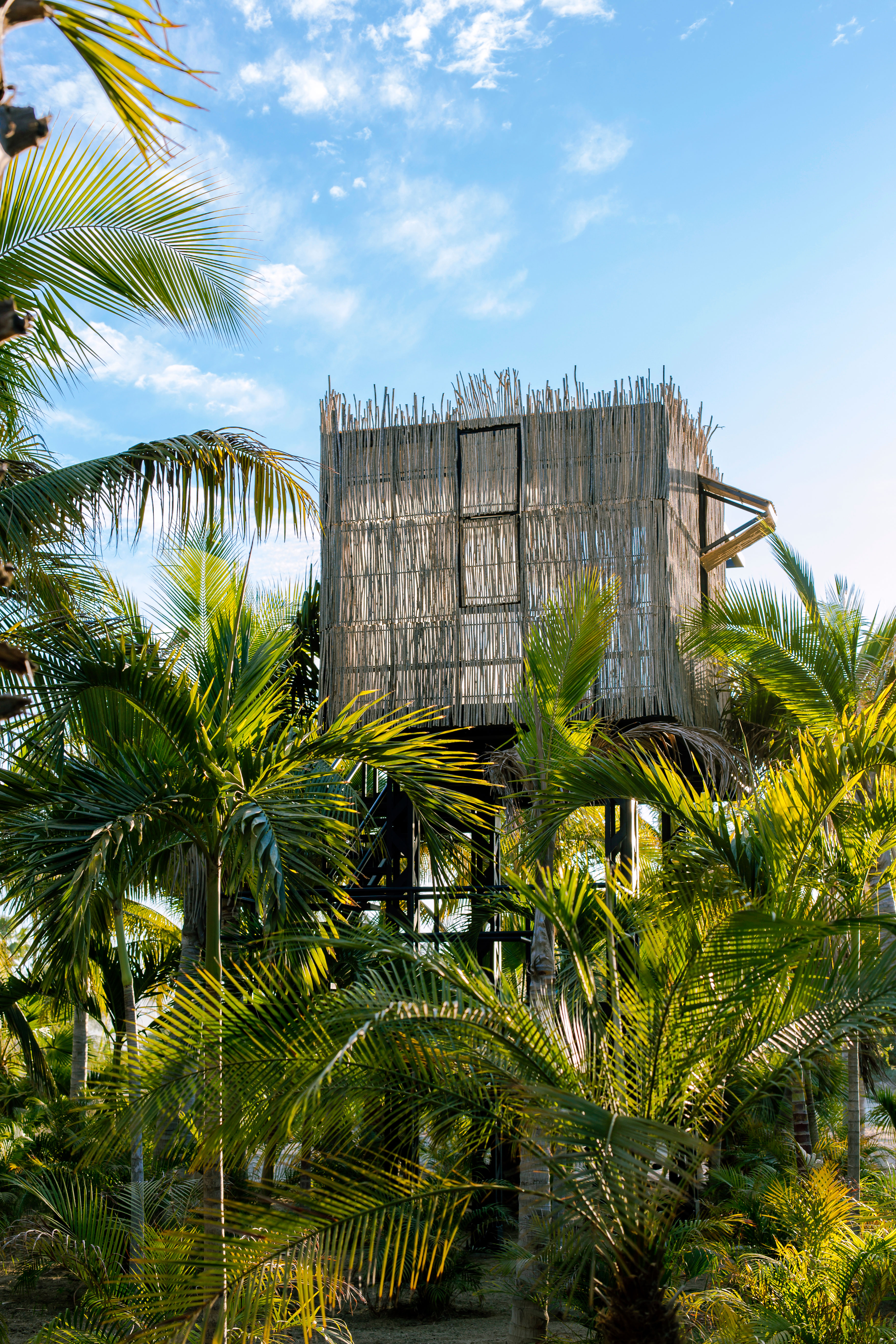 its-a-jungle-out-there