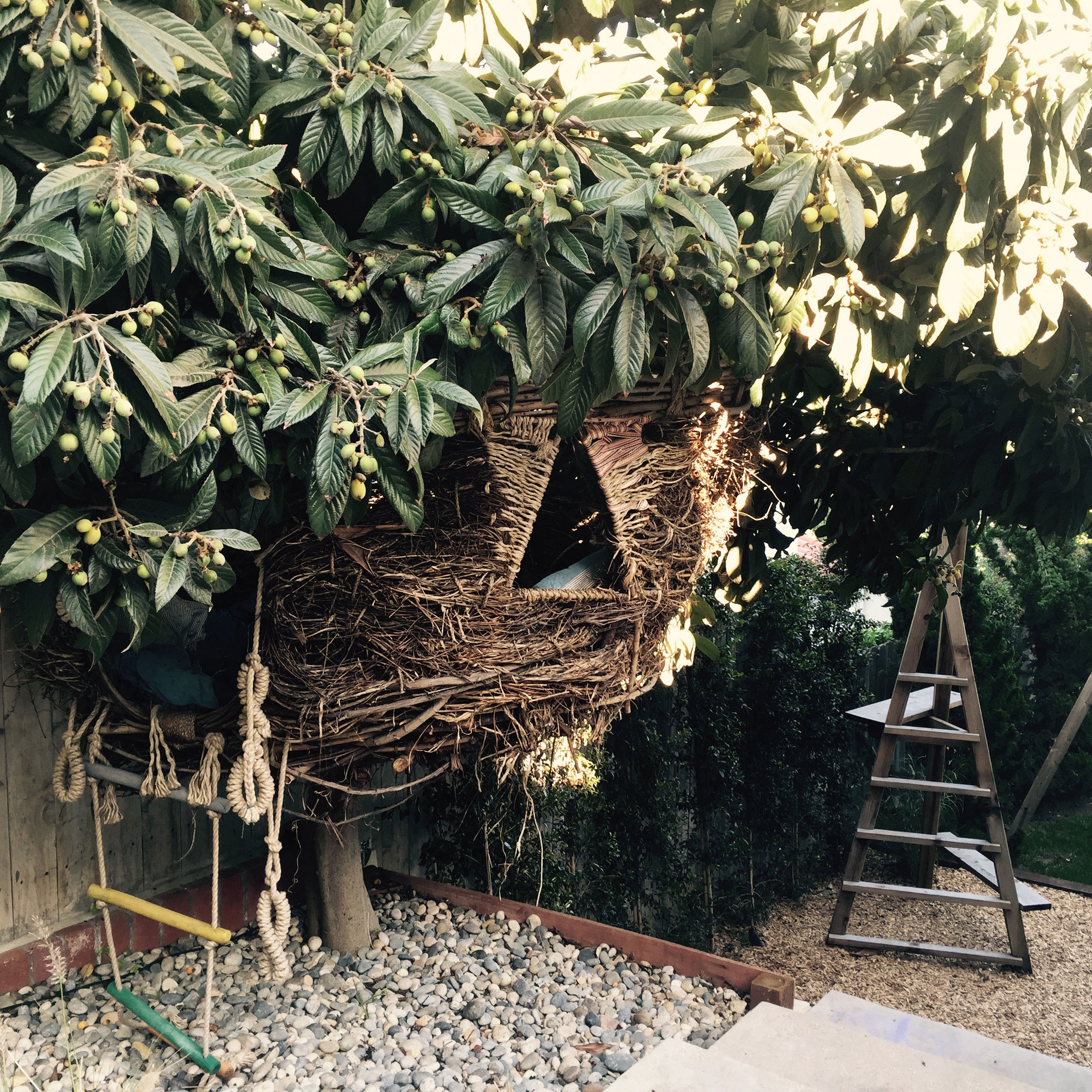 backyard-willow-nest