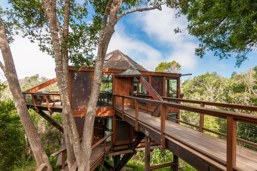 treehouse-with-ocean-view