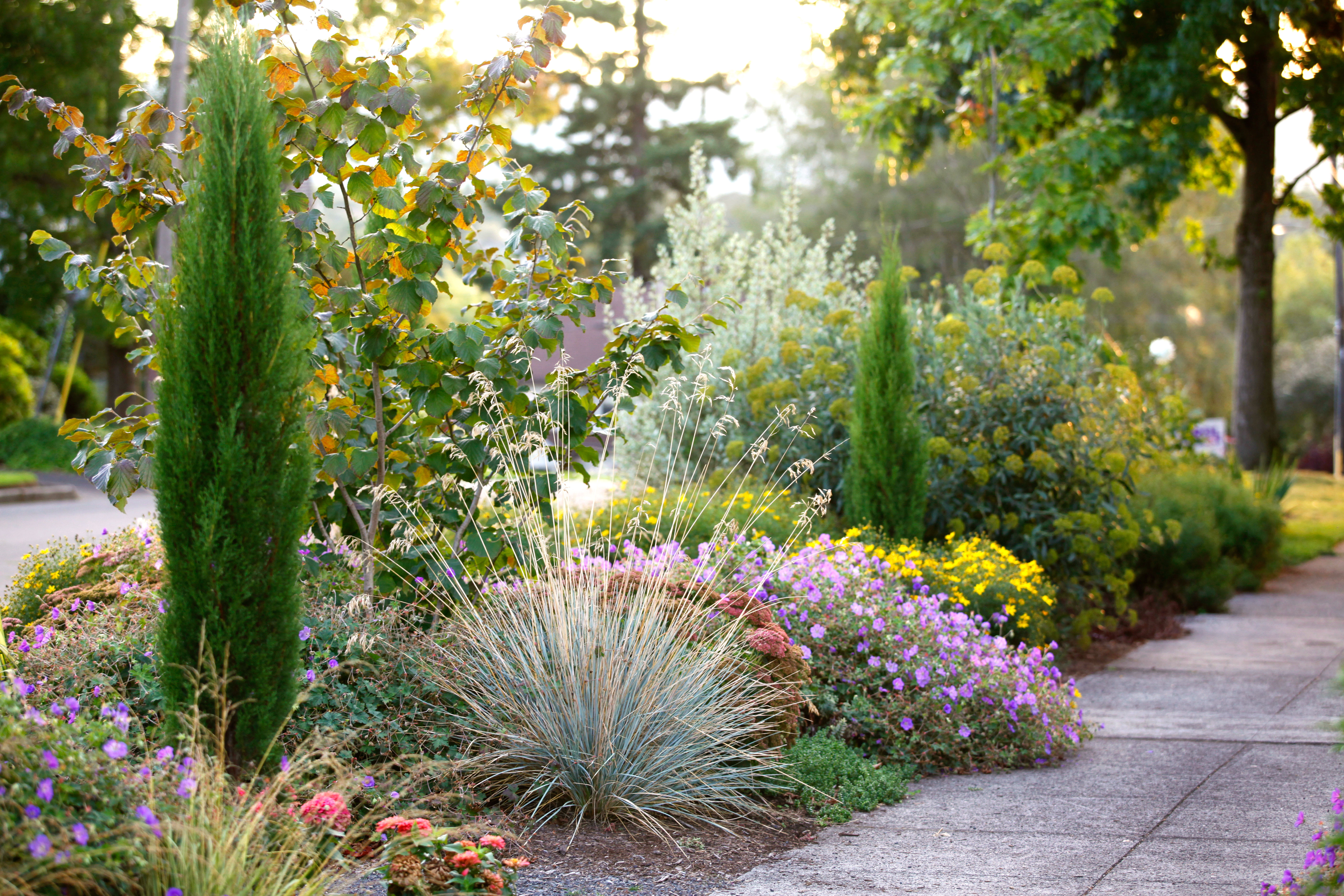 why-hellstrips-are-so-important