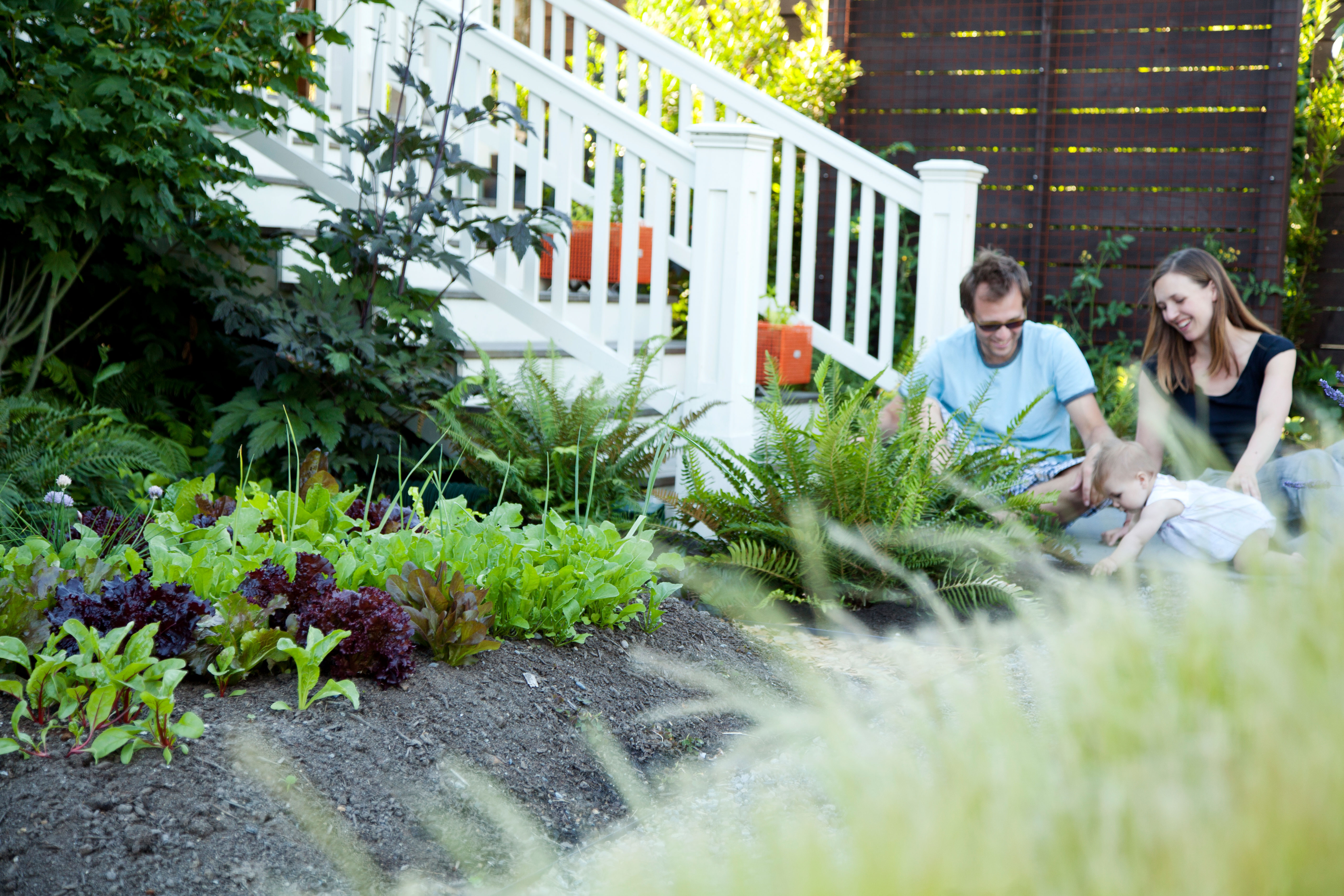 Edible Landscaping Ideas for Front Yard - Sunset - Sunset Magazine