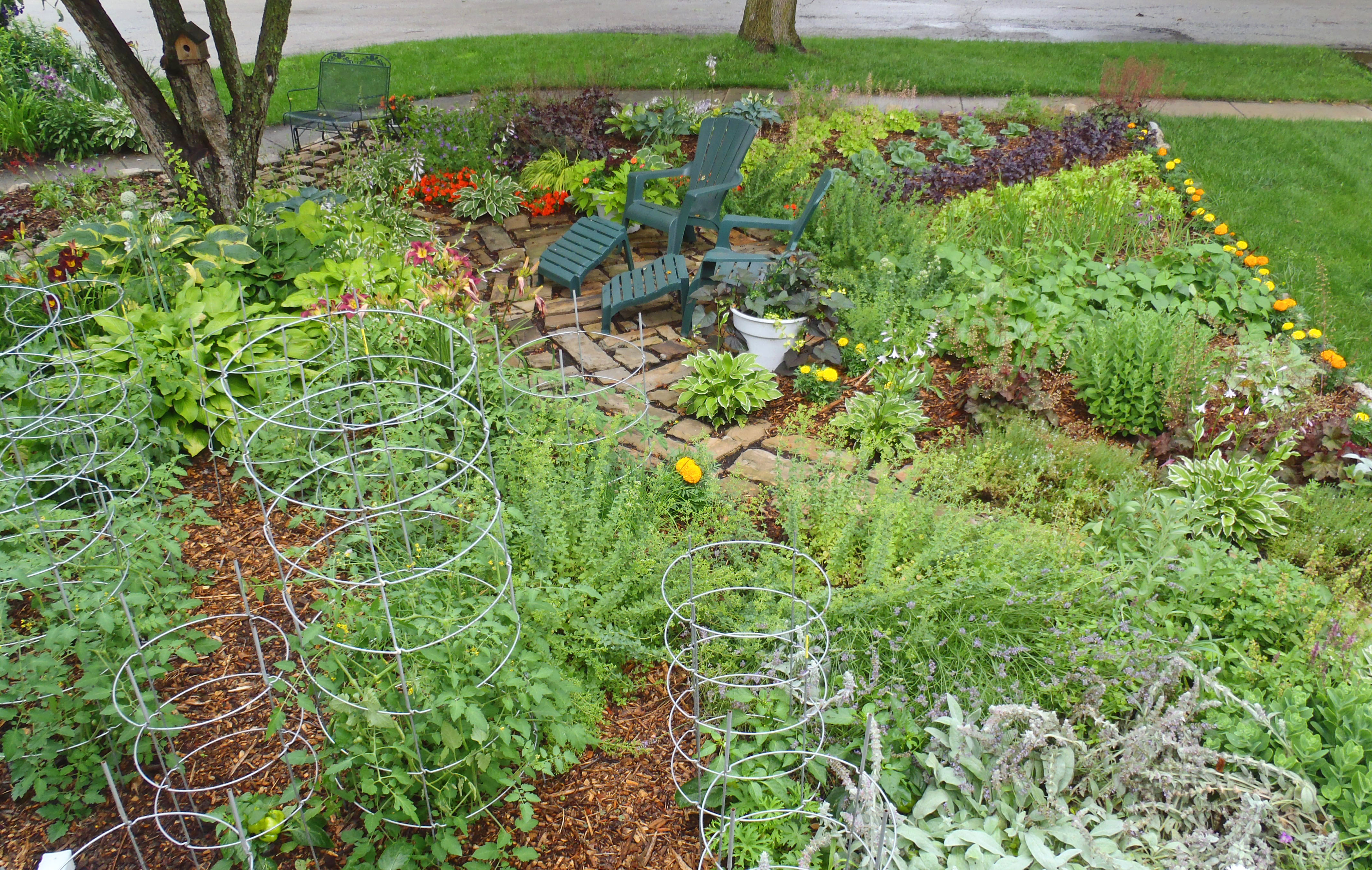 annual-salad-garden