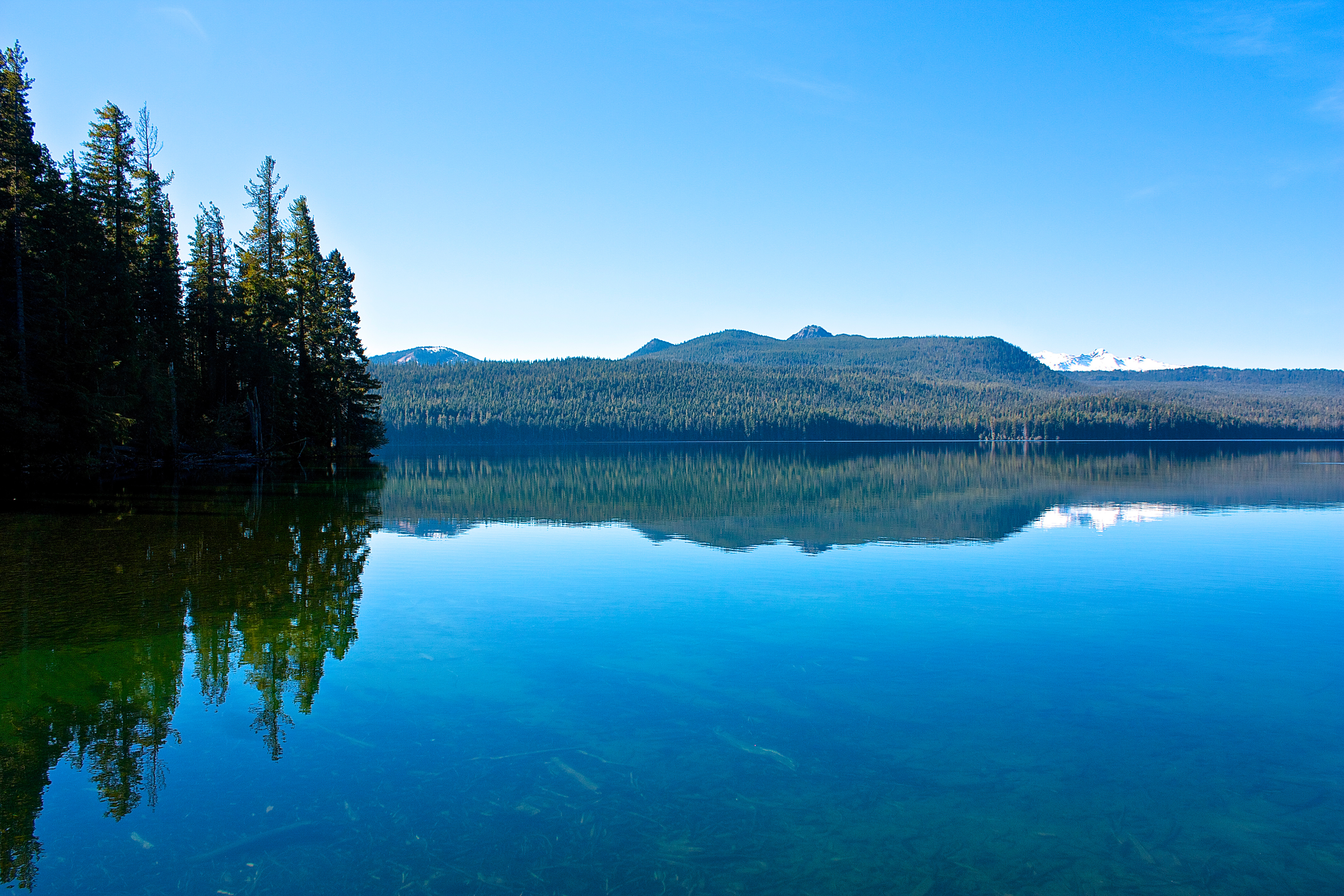 odell-lake-lodge-resort-crescent-or