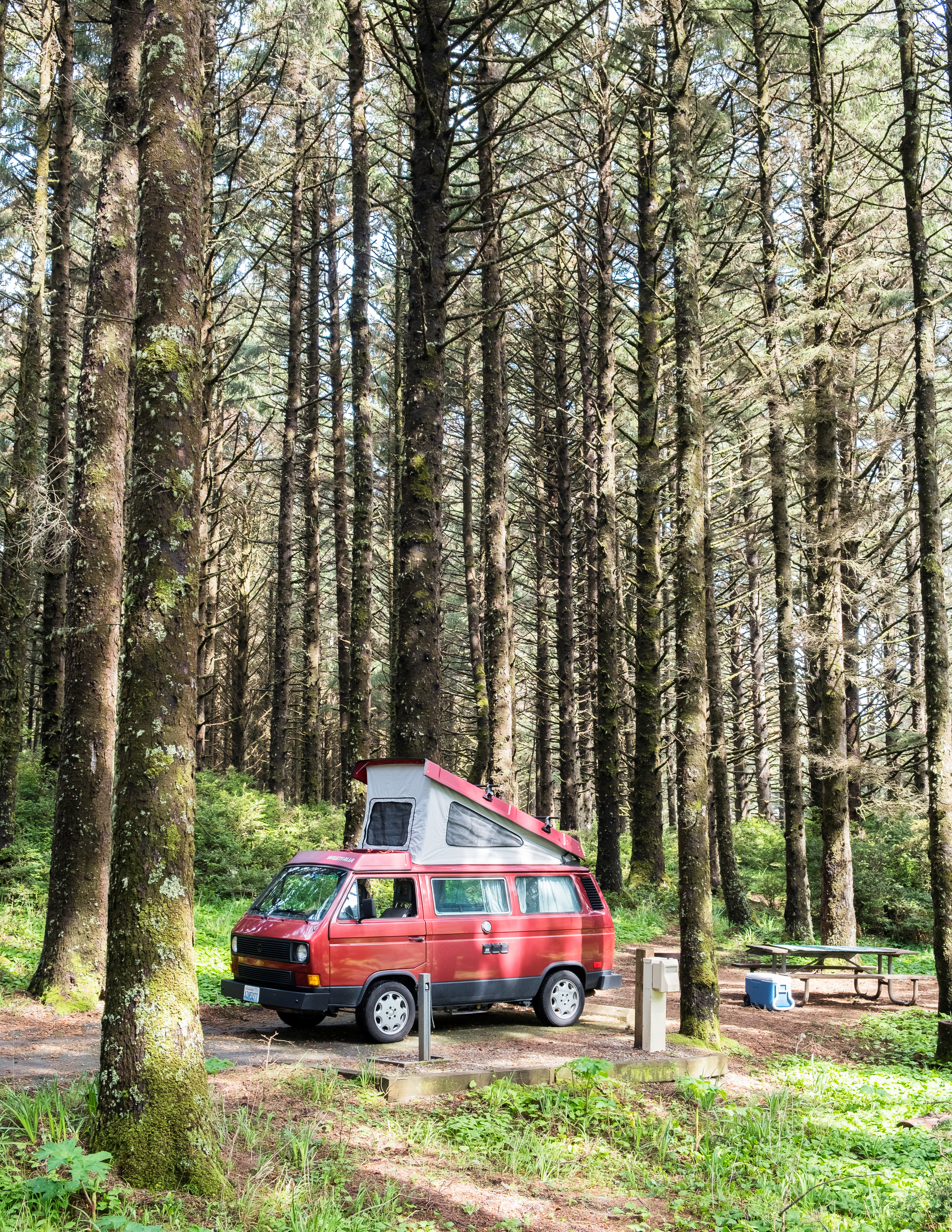 cape-blanco-state-park