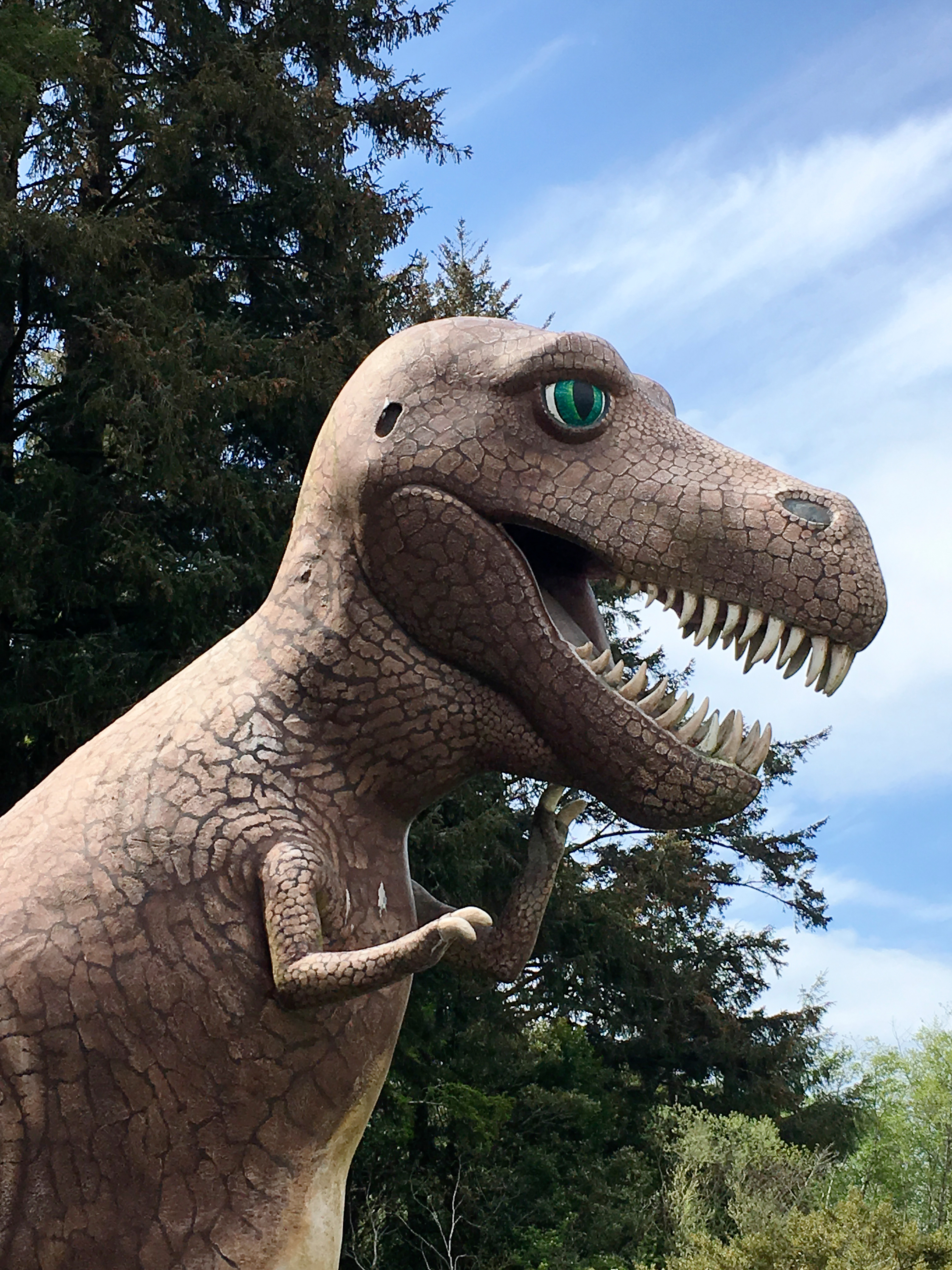 prehistoric-gardens-port-orford