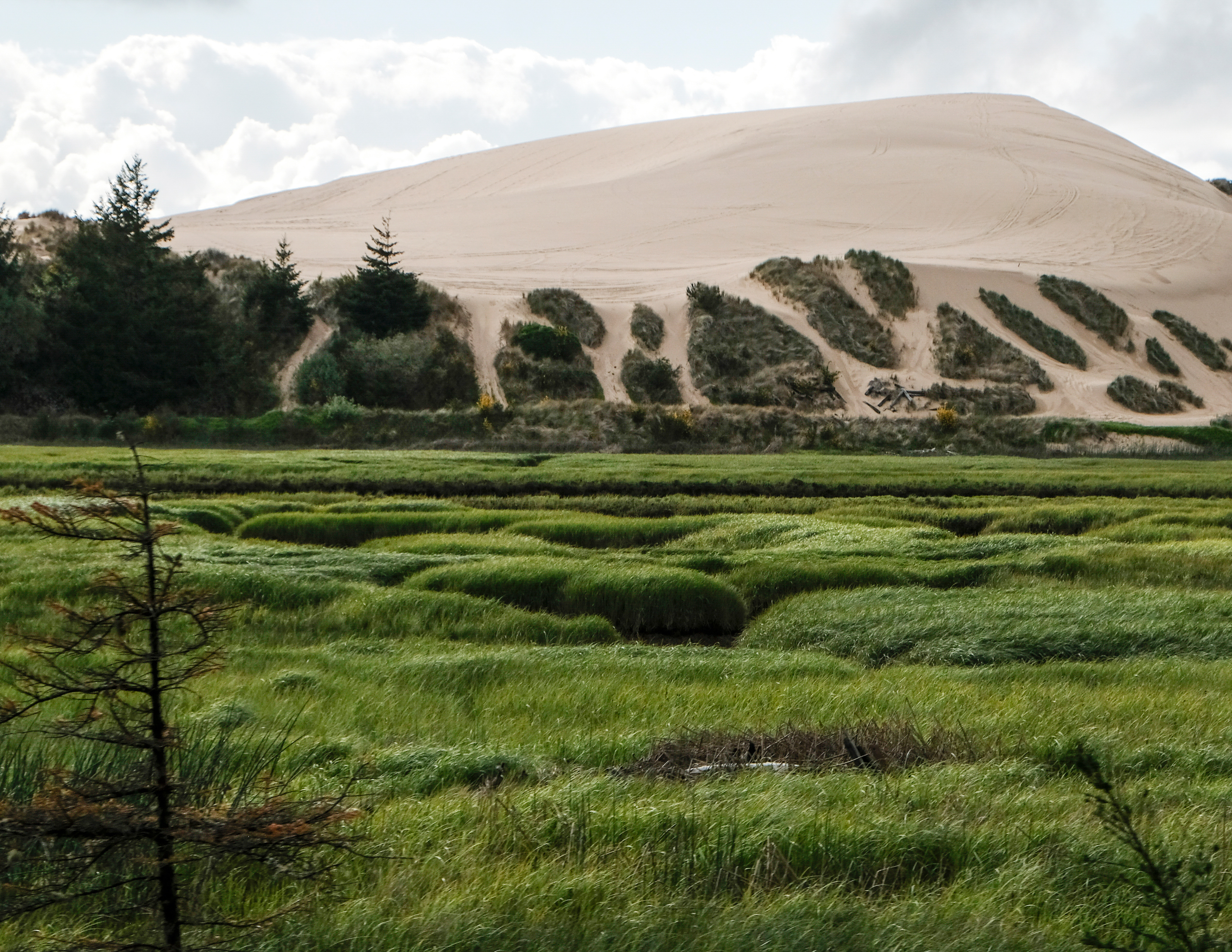 sand-dunes-near-newport