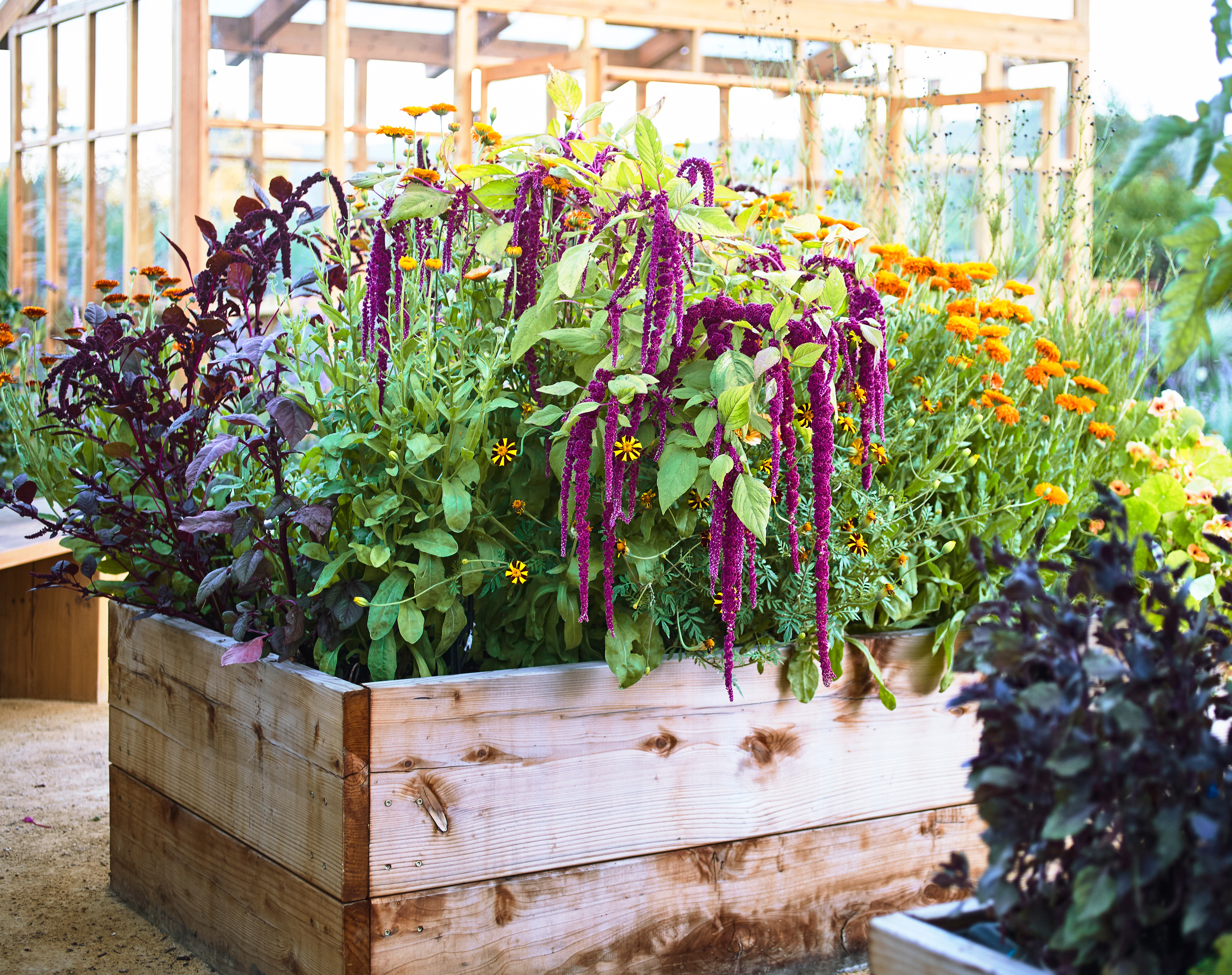 How to Make Flower-Dyed Napkins