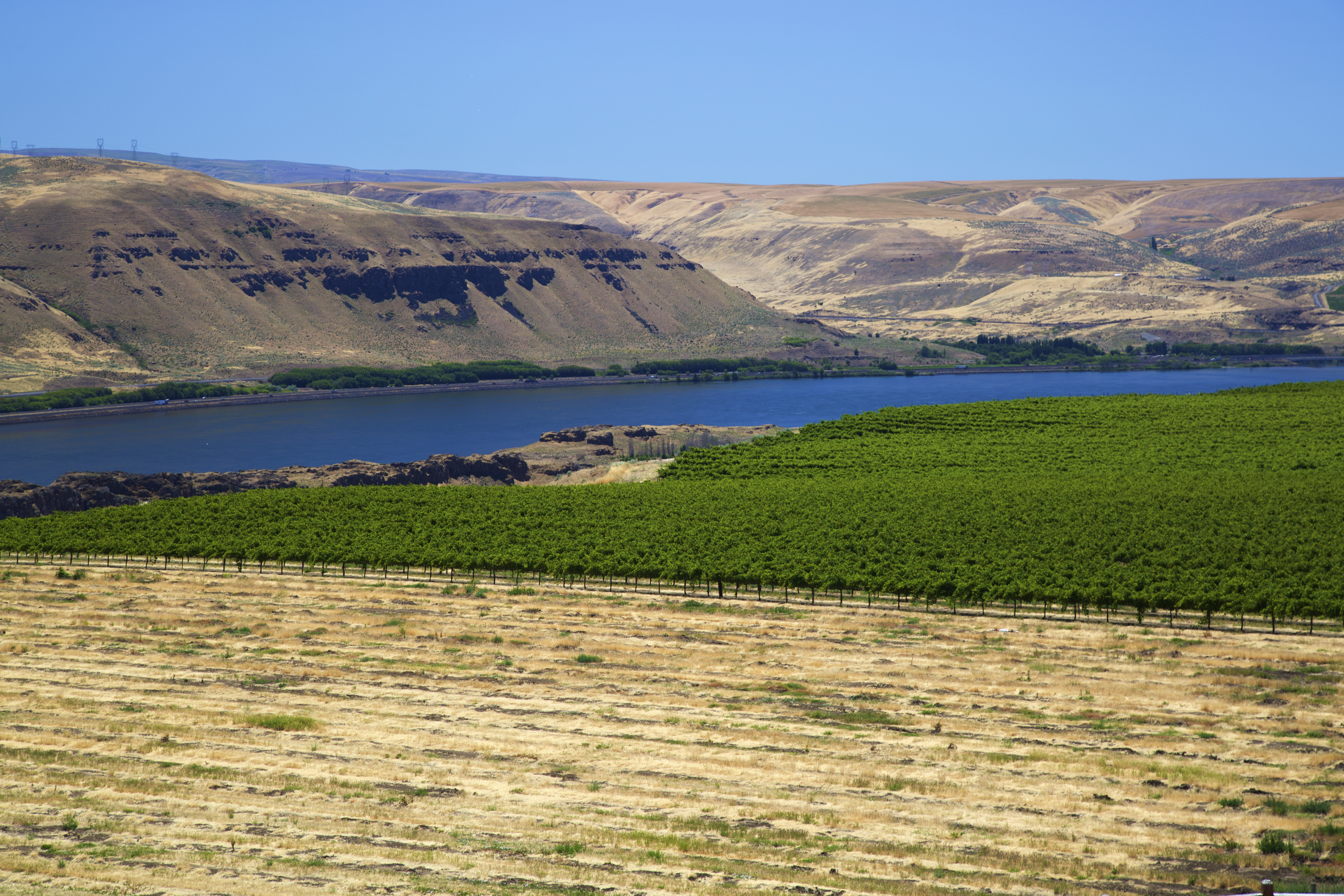 on-the-rise-wine-region