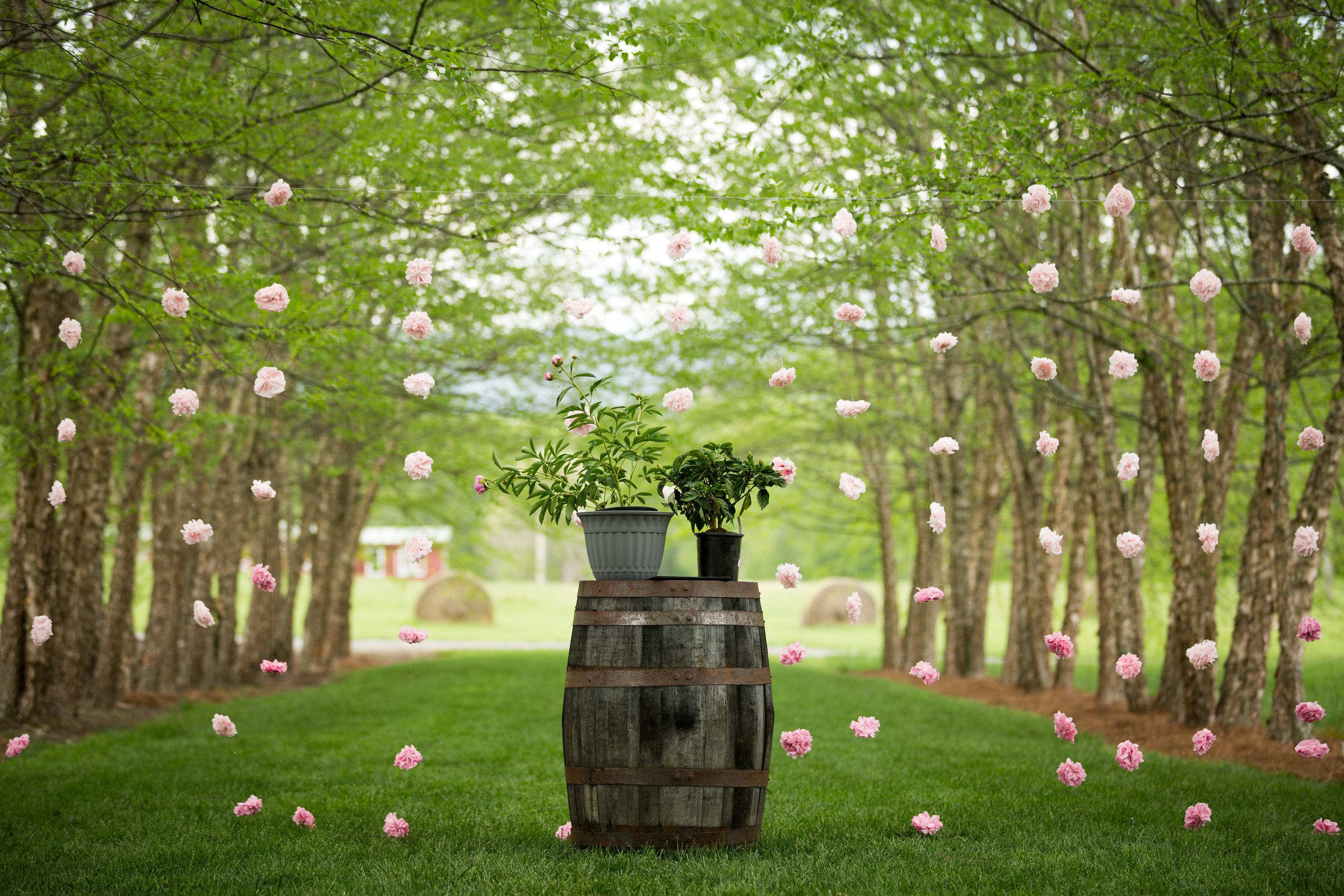 13 Ways to Throw the Mountain Wedding of Your Dreams Sunset Magazine