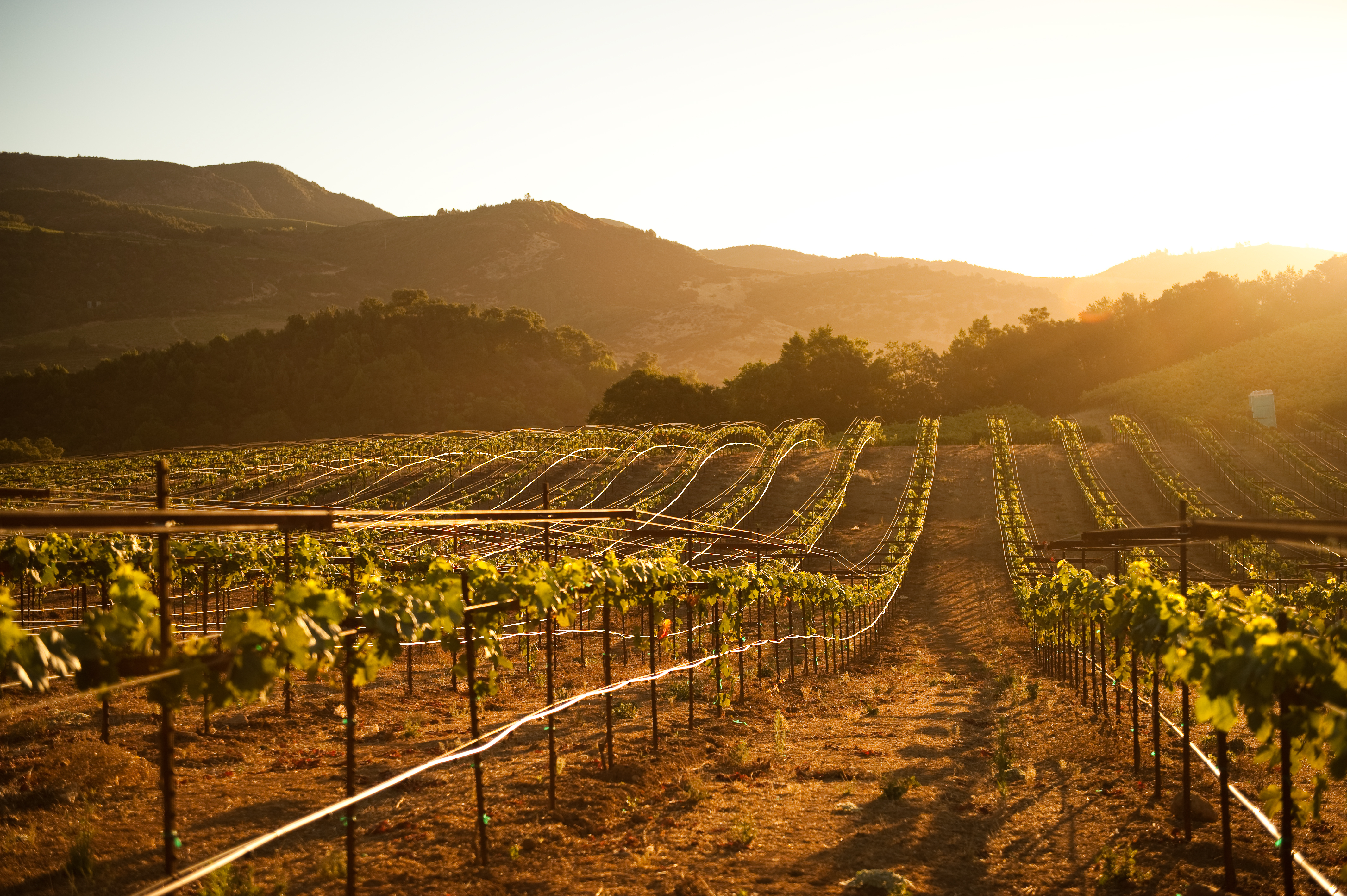 10 Charitable Gifts to Benefit Wine Country Relief Efforts