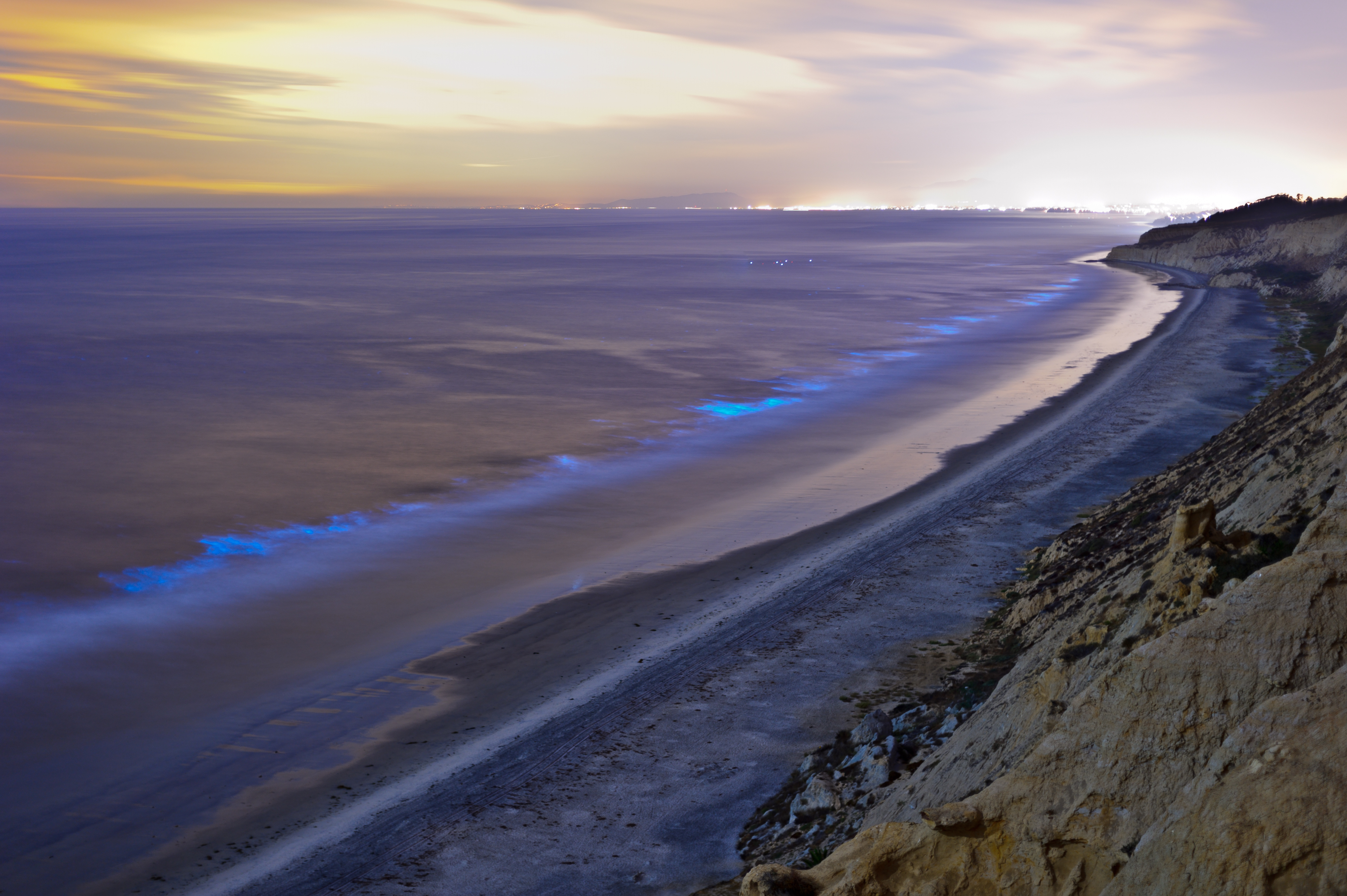 Where to See Bioluminescent Algae Blooms on the West Coast Sunset