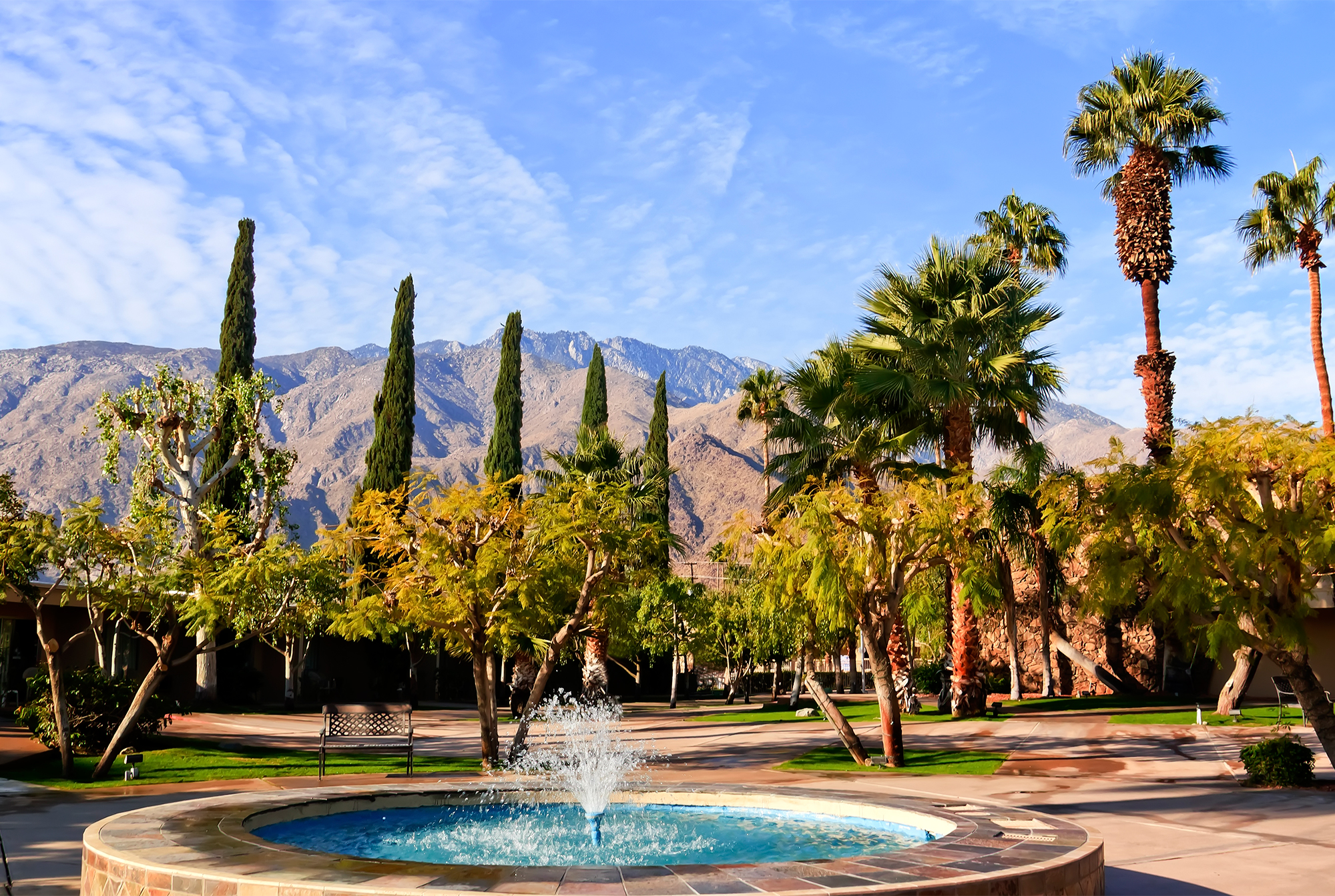 Where to Go in and Near Palm Springs