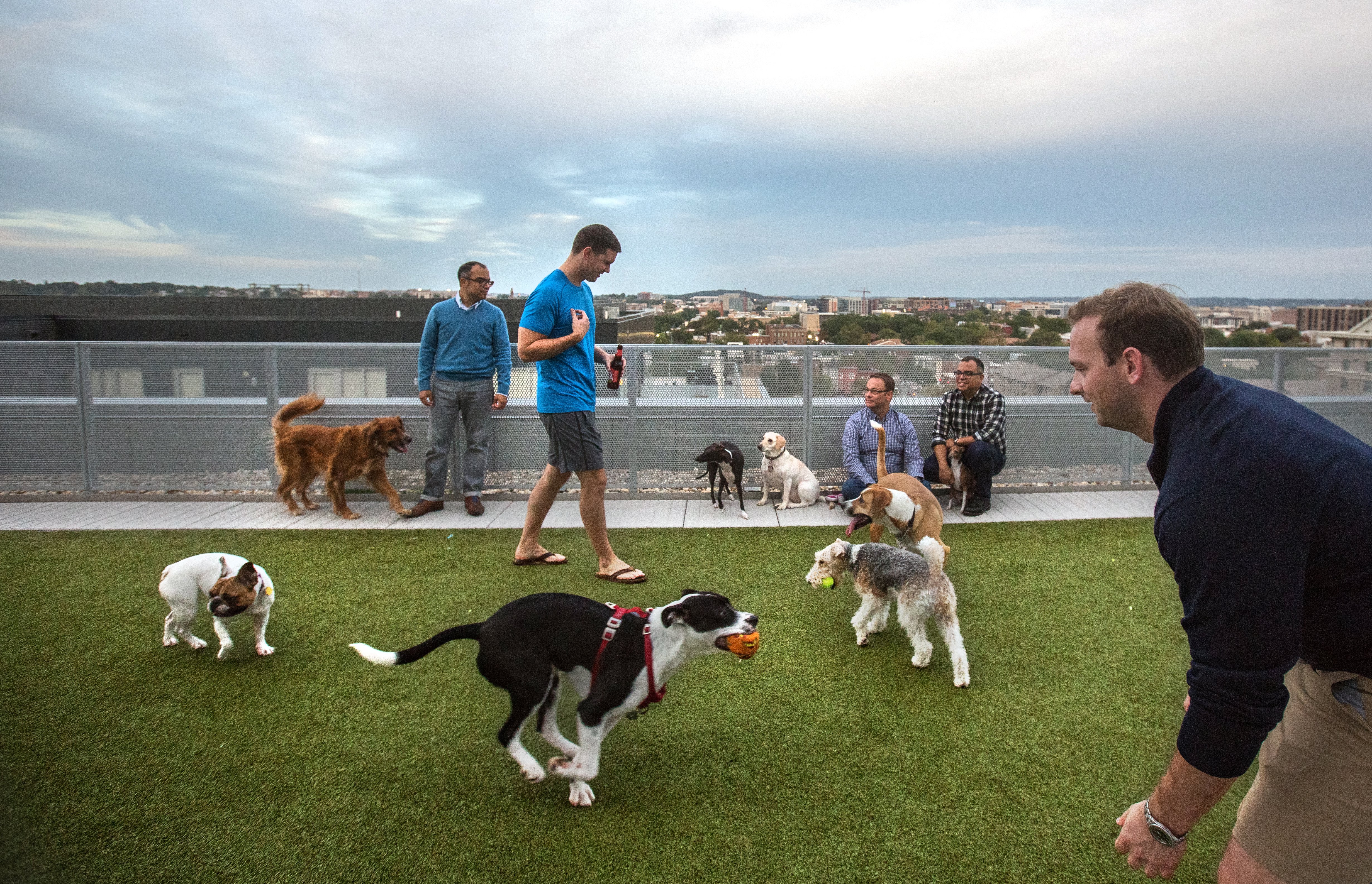 Five Great Southern California Dog Parks
