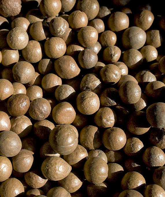 Best Foods to Stockpile for an Emergency