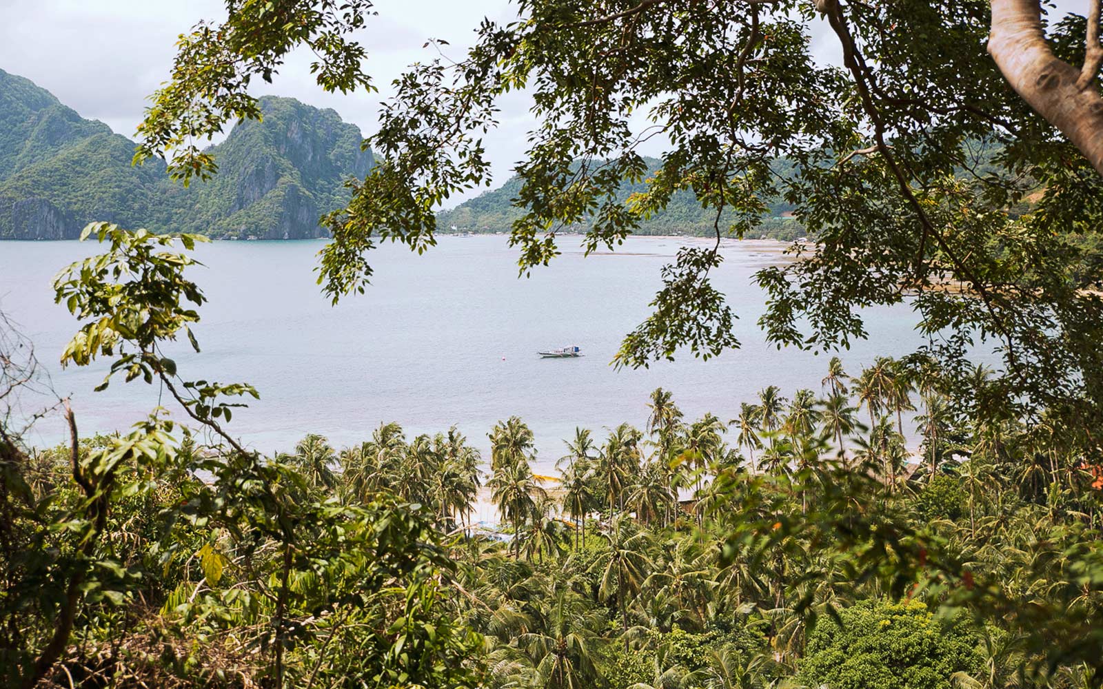 This Philippines “Birdhouse” Makes Glamping Romantic